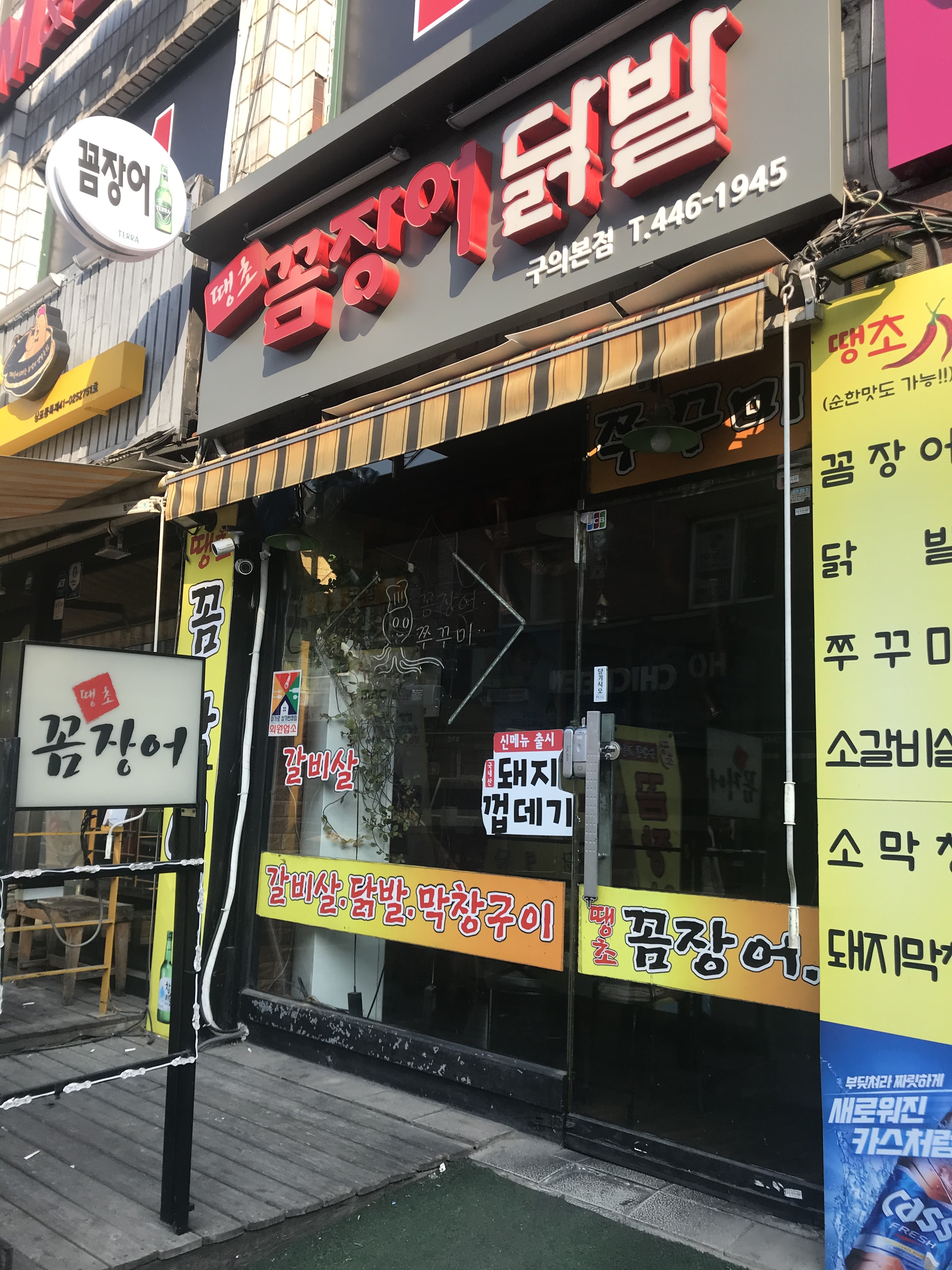 땡초꼼장어