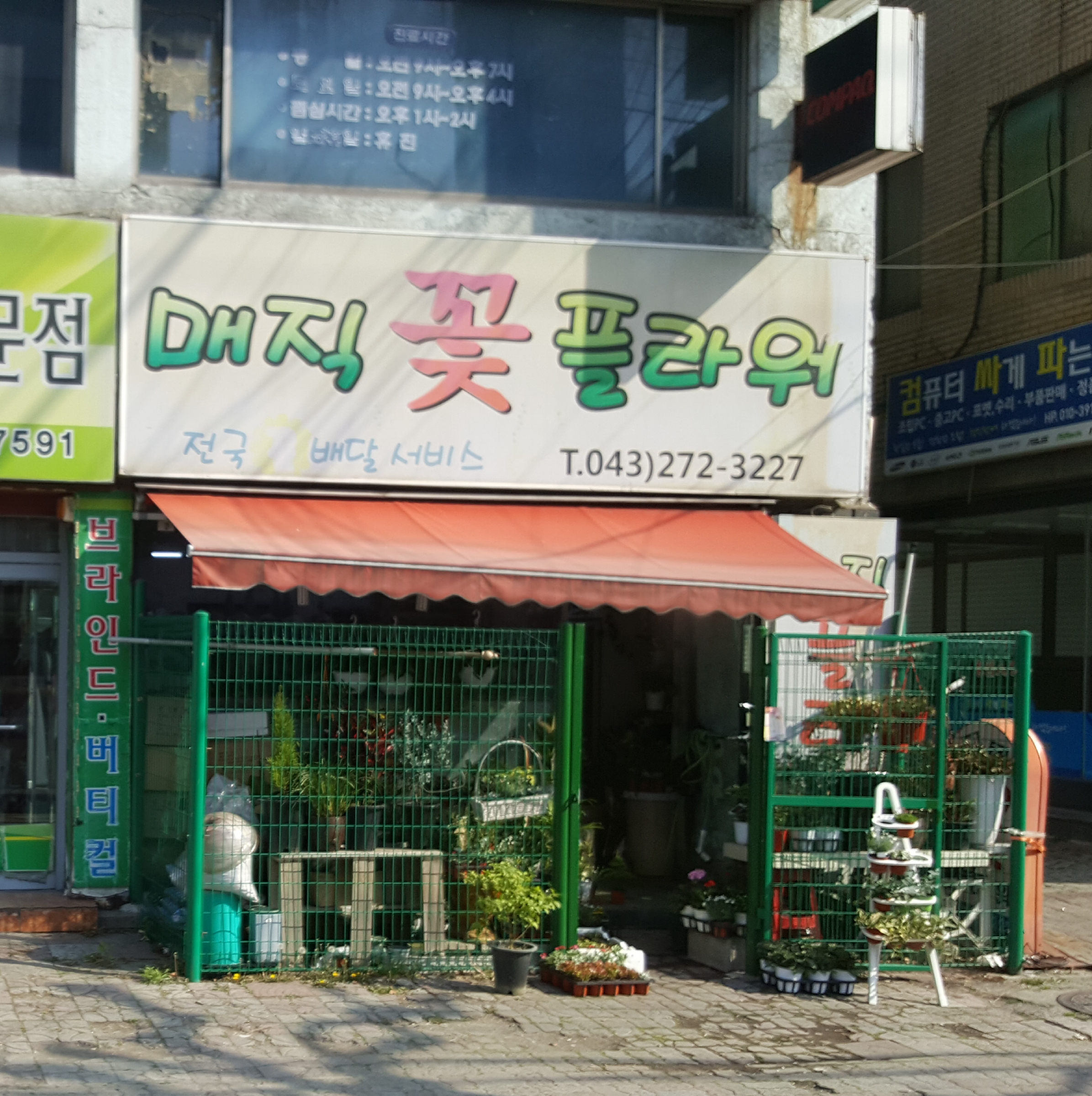 매직플라워