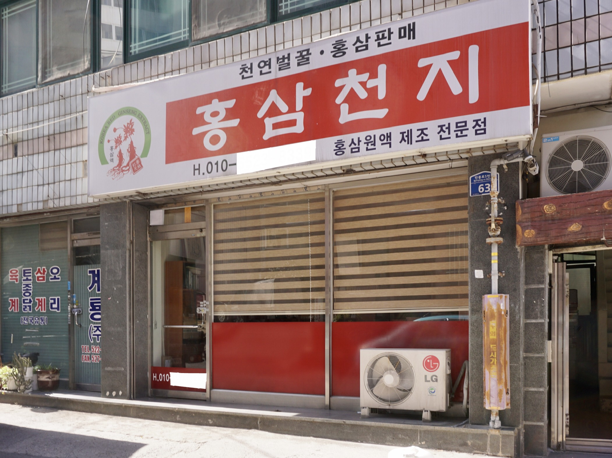 홍삼천지