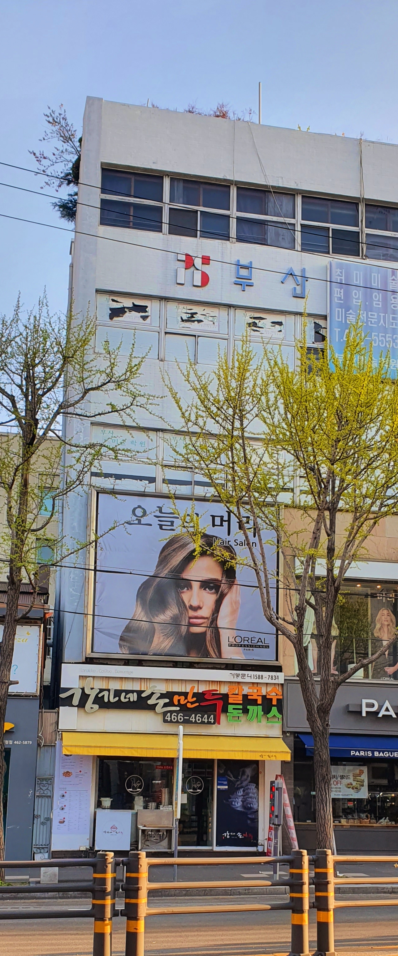 강가네손만두 남포점 설명사진