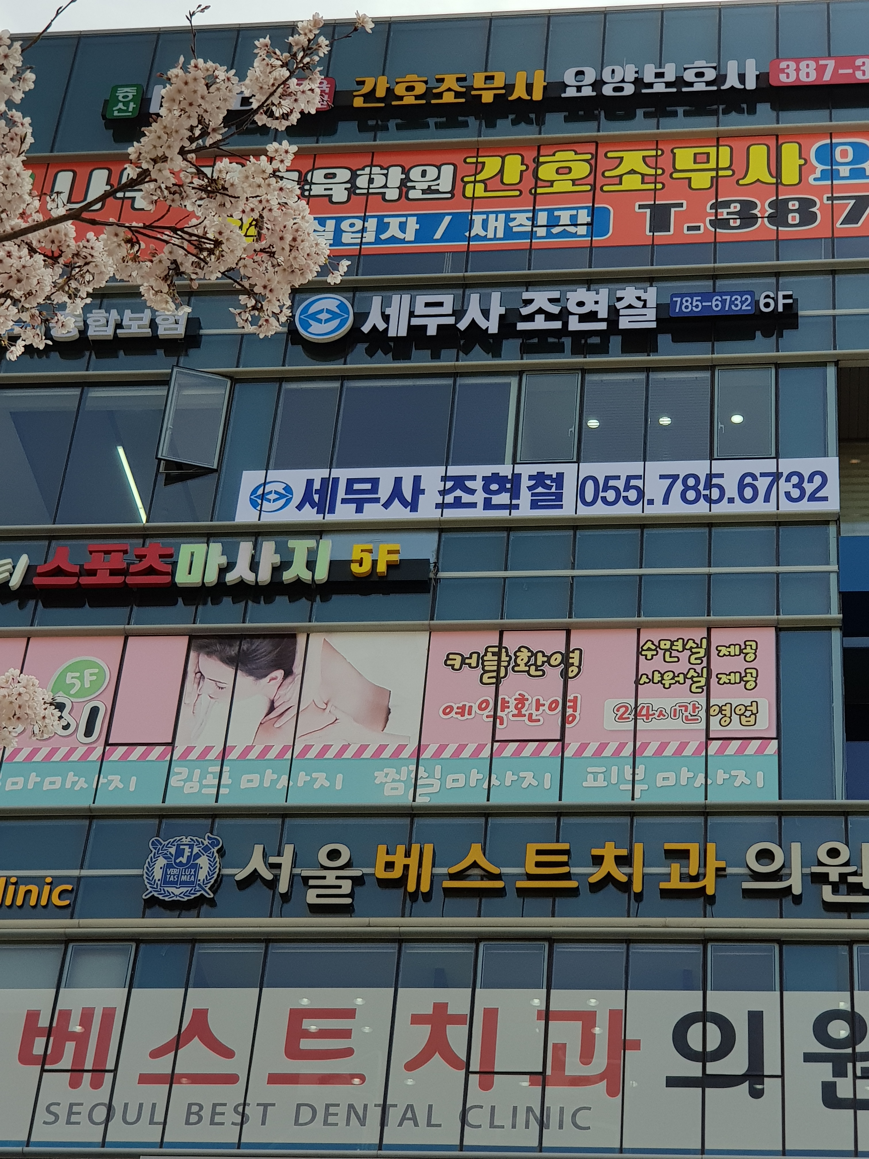 조현철세무회계사무소 대표 이미지