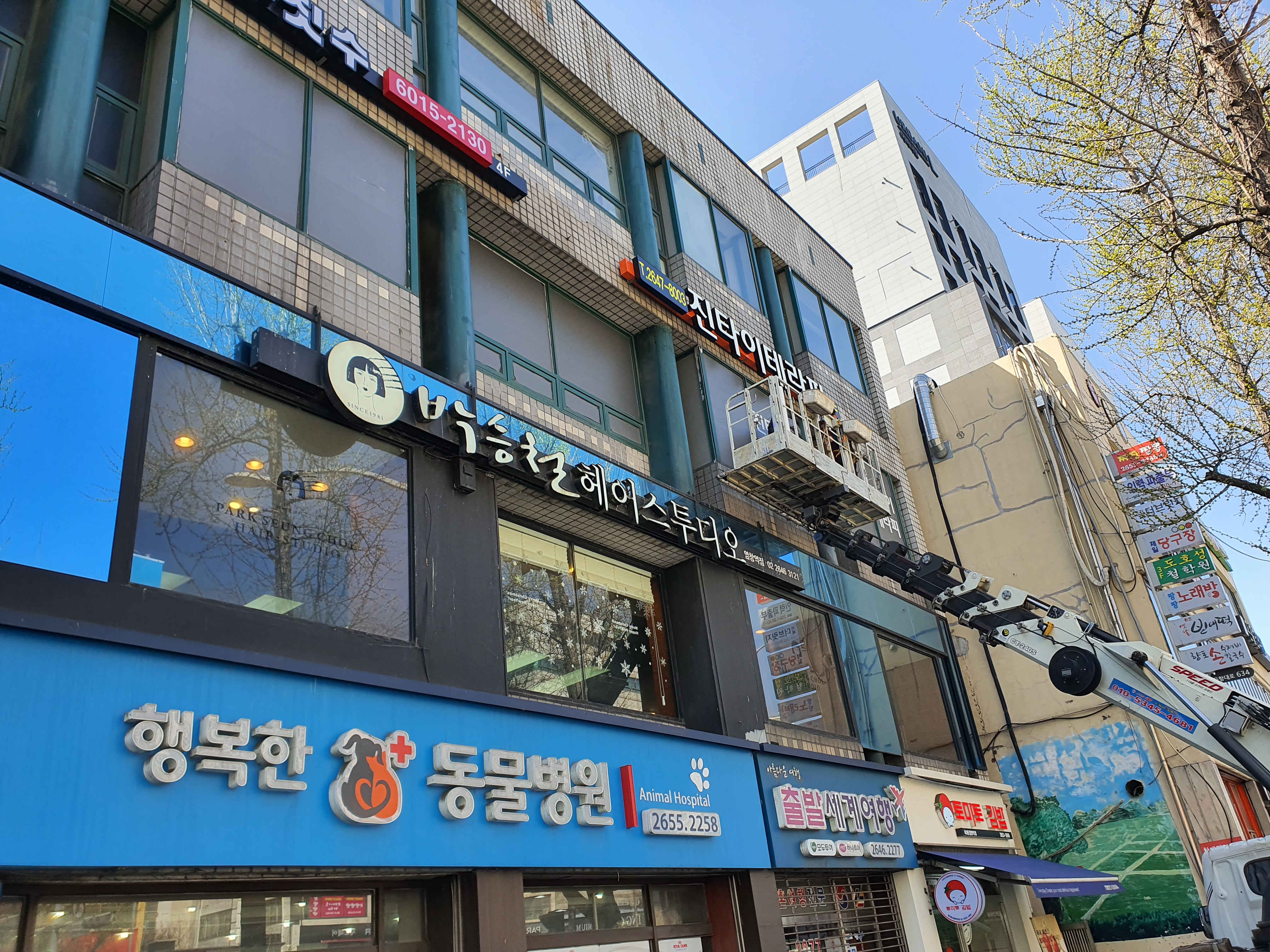진타이테라피 photo 4