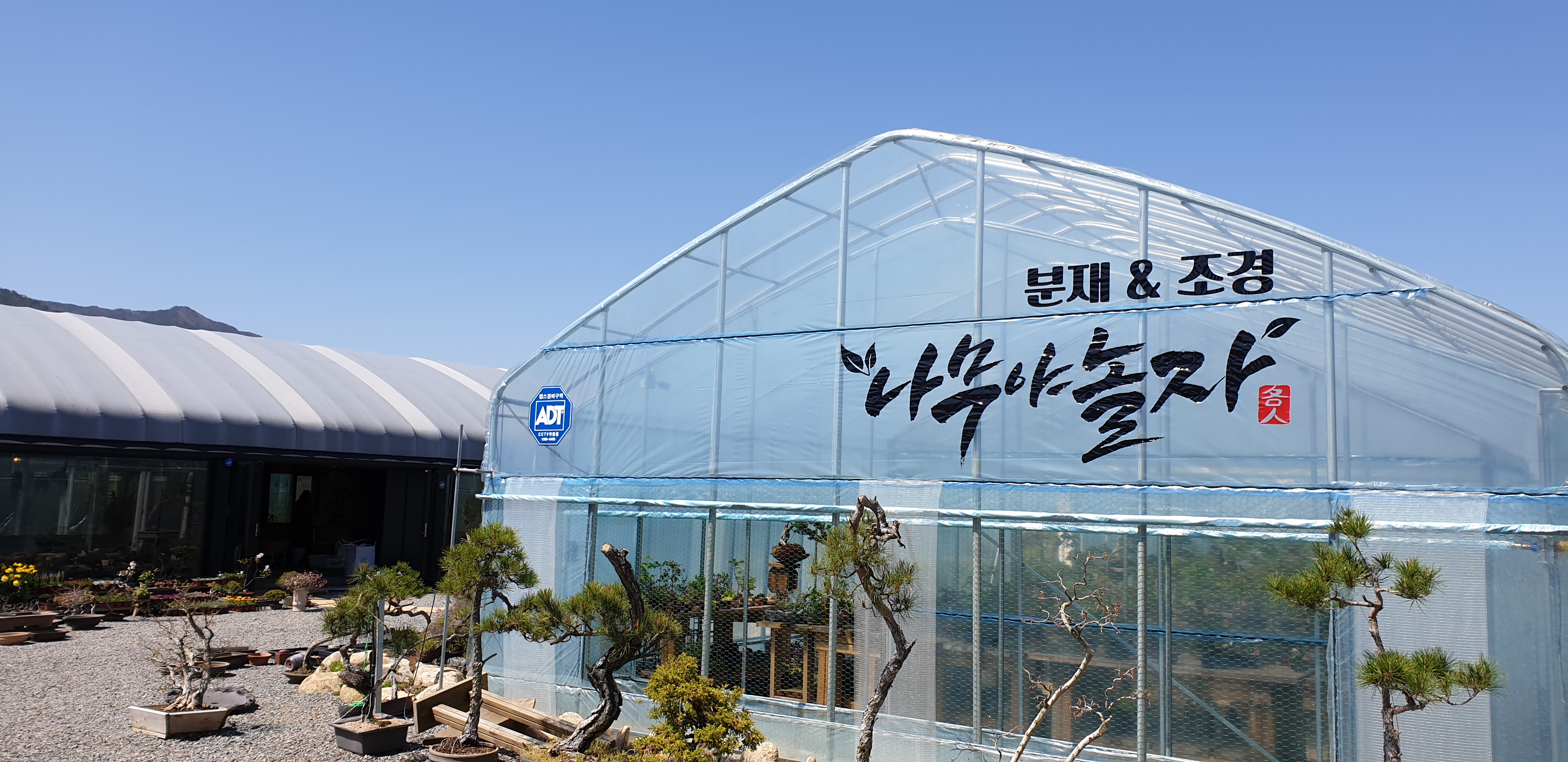 나무야놀자