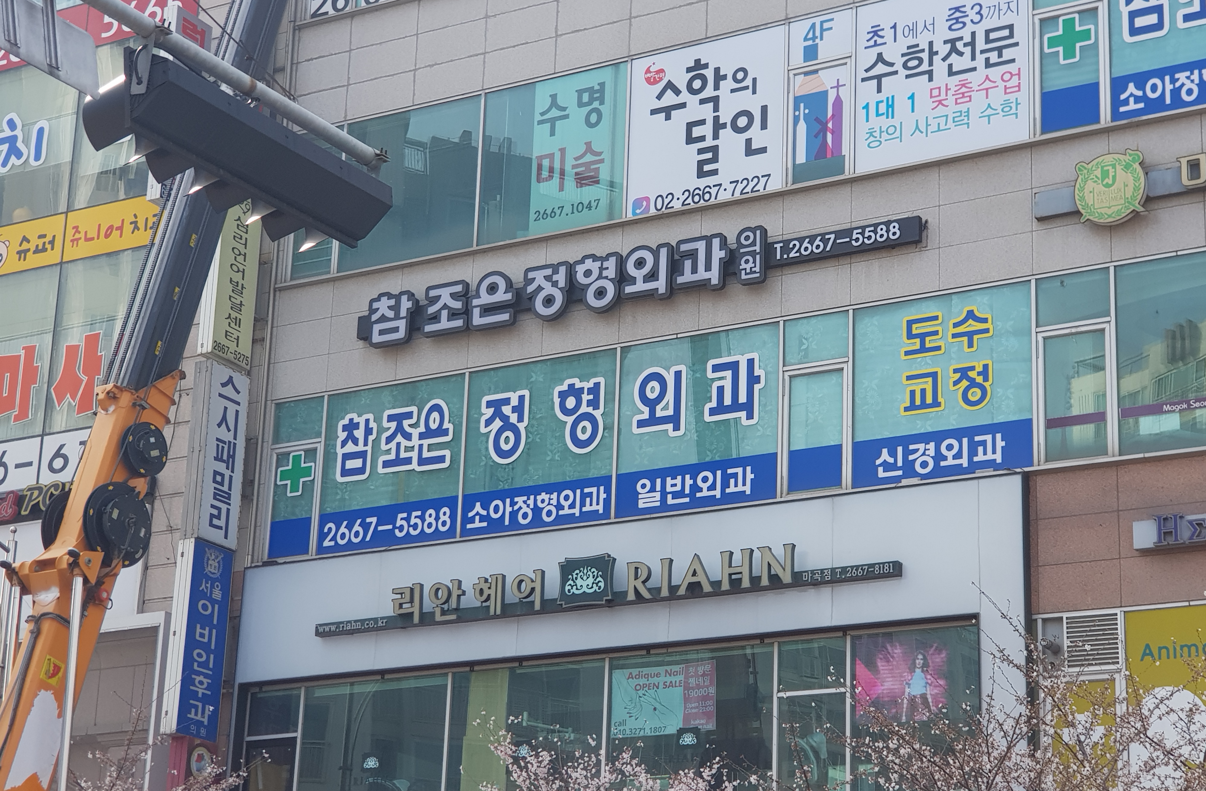 참조은정형외과의원