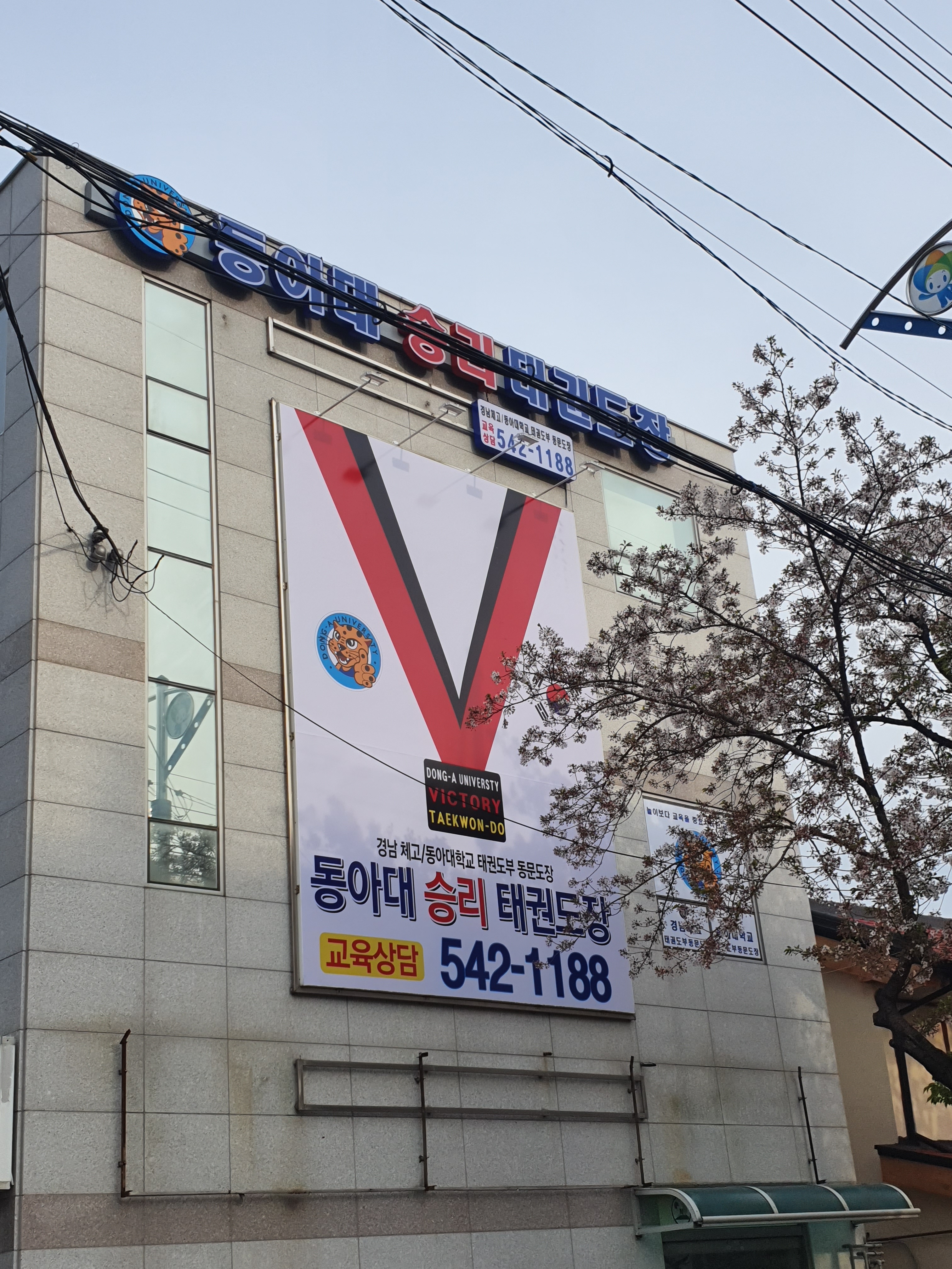 동아대승리태권도장