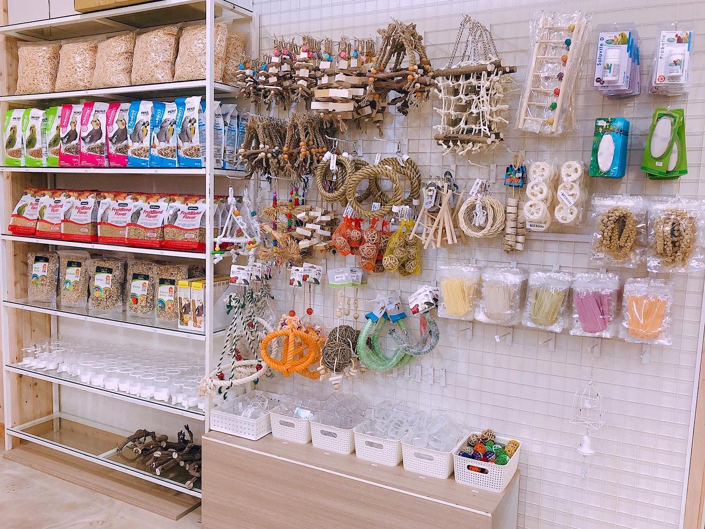 버드라운지 대표 이미지