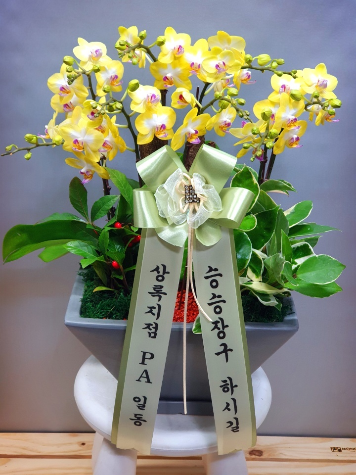 꽃나라화원