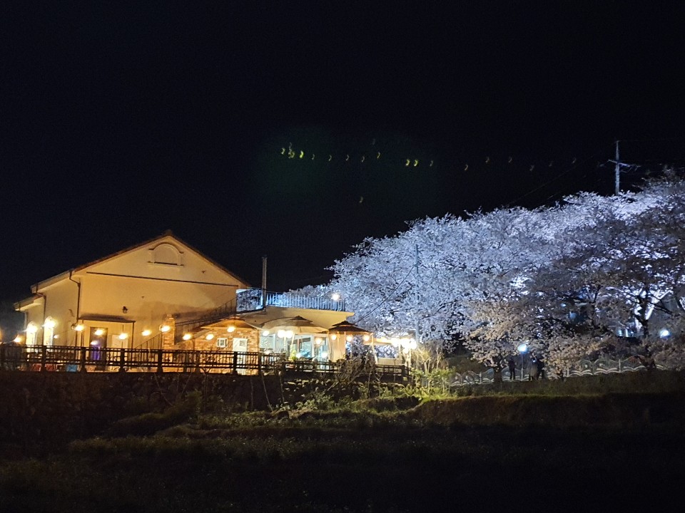 꽃피는 산골 경상 애견맛집