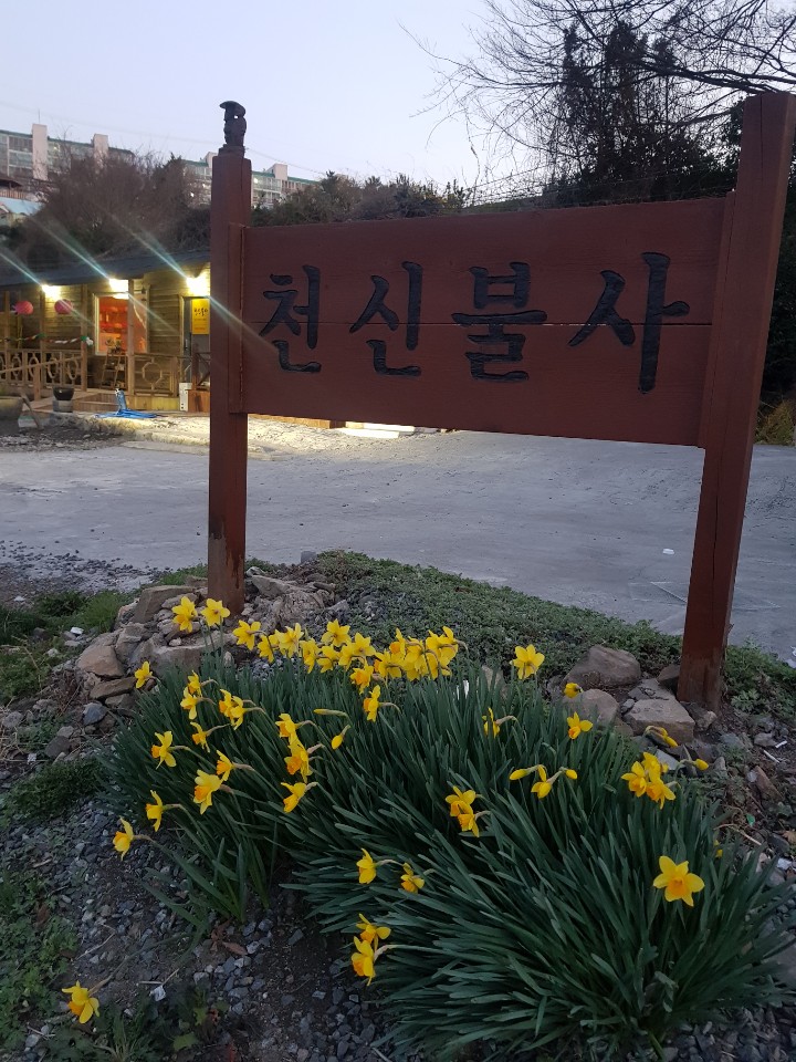 천신불사