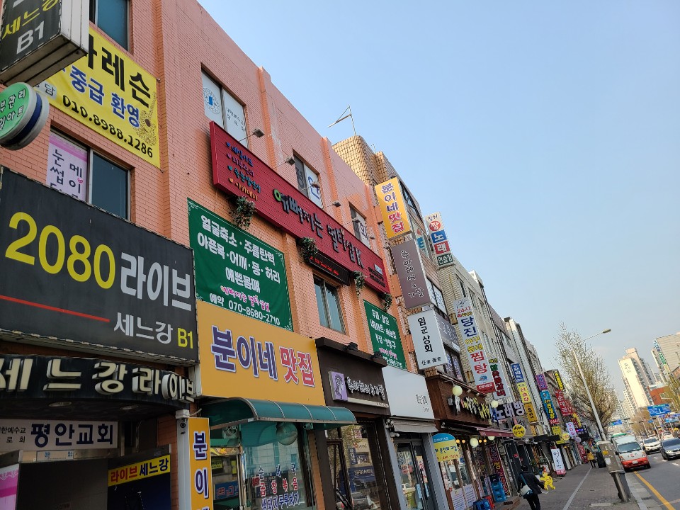 스켈피아 대표 이미지