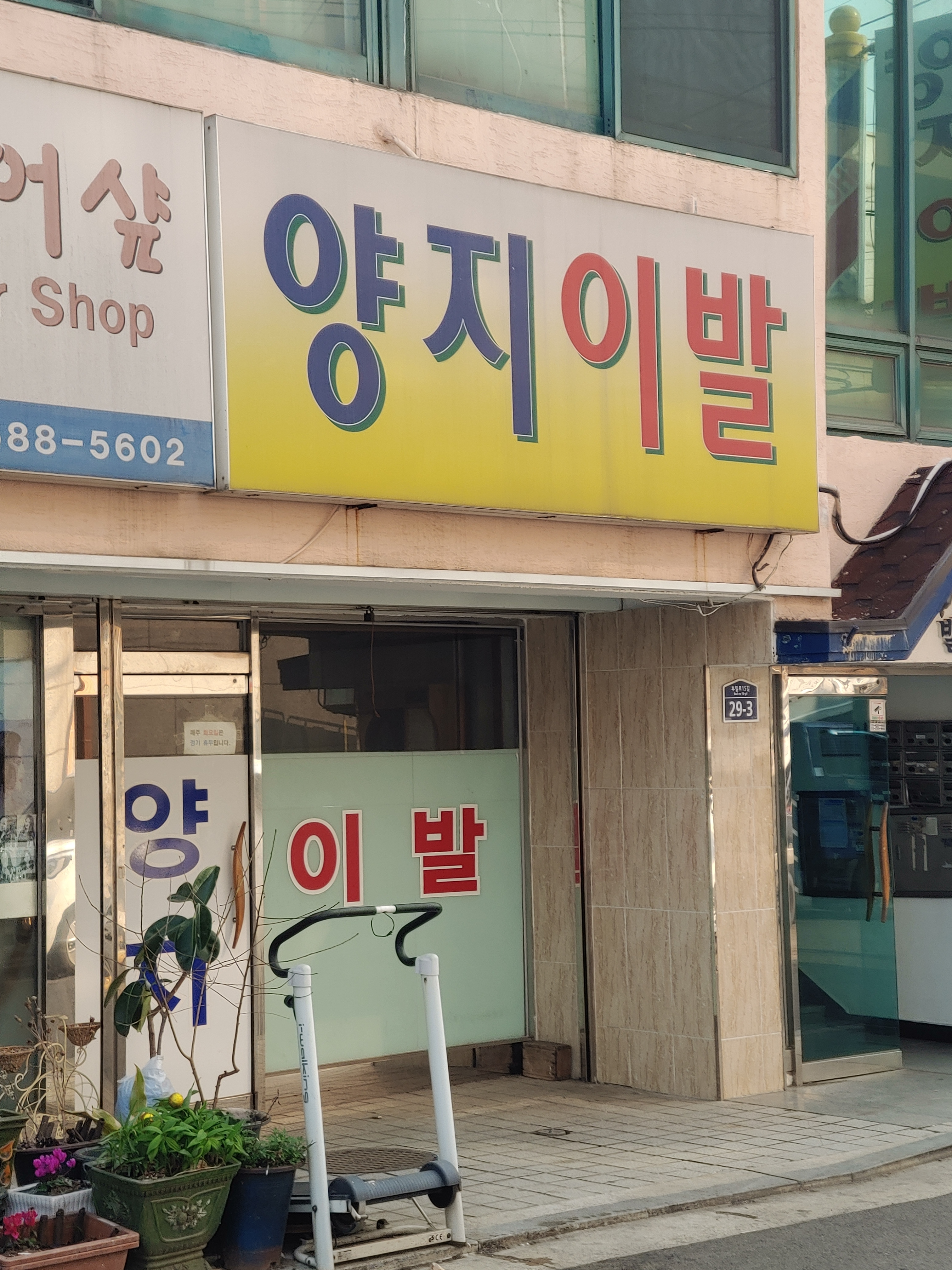 양지이발