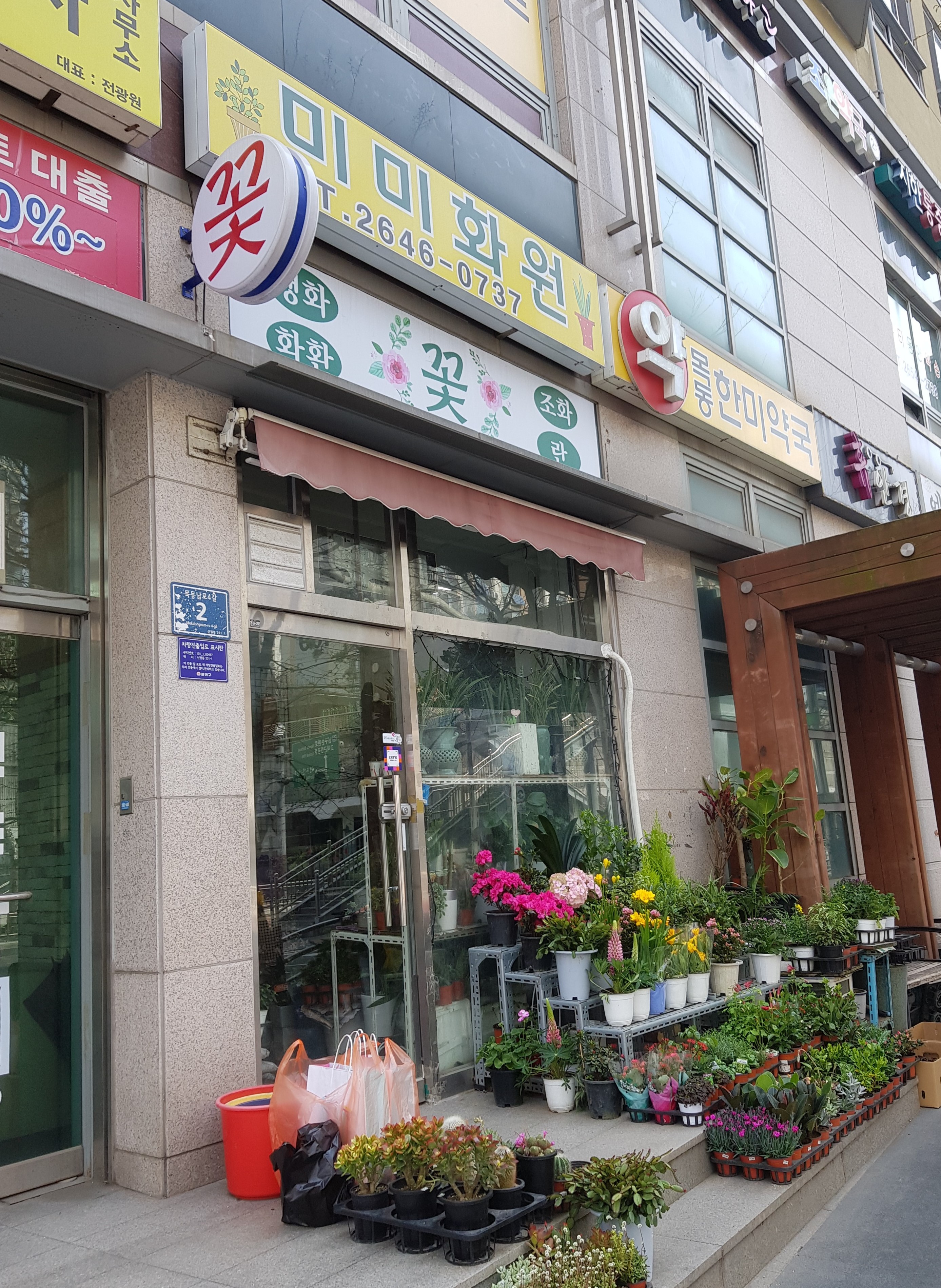 미미화원