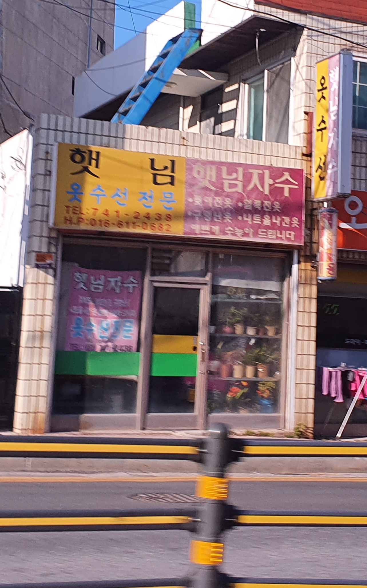 햇님자수