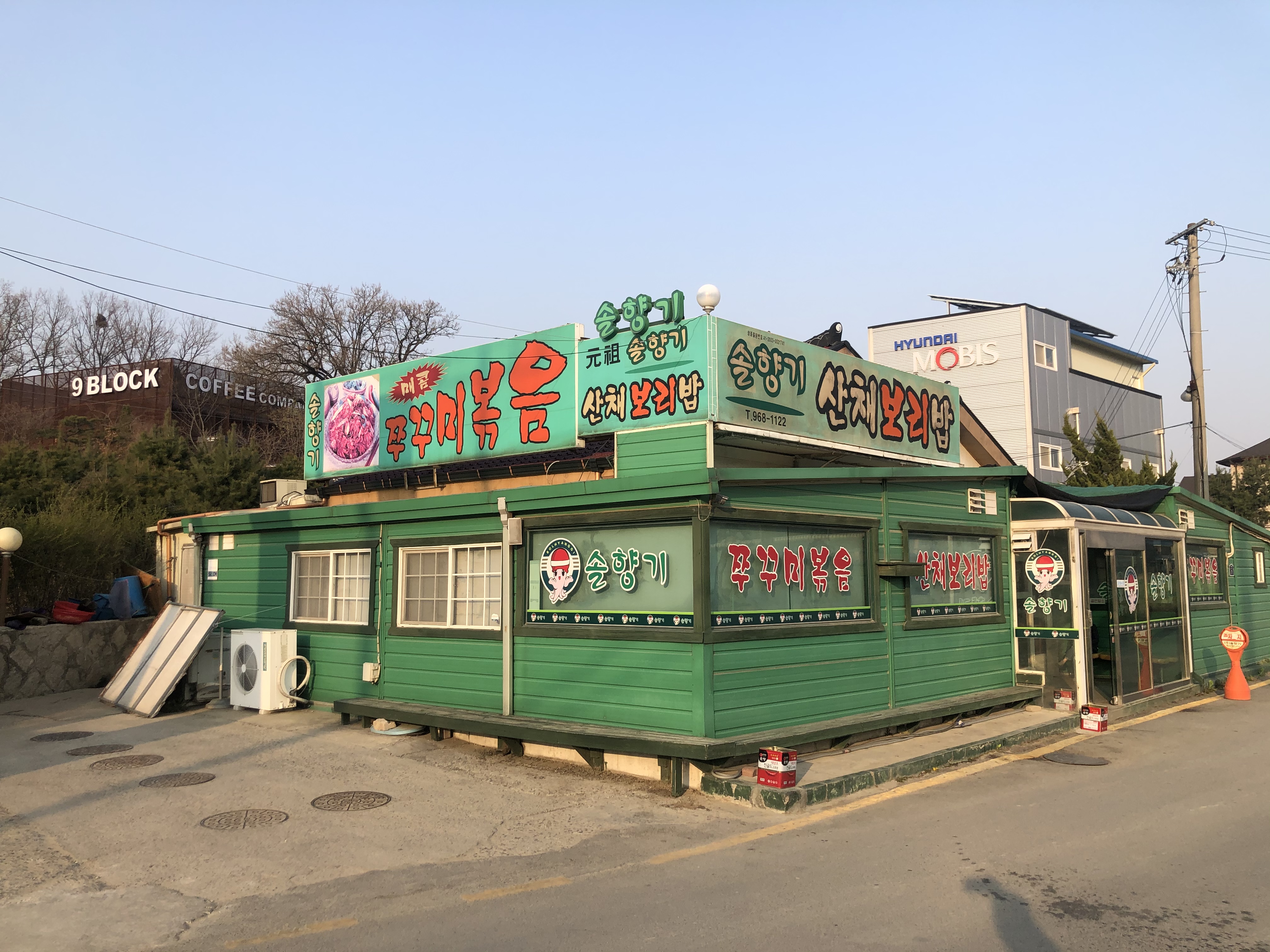 솔향기 쭈꾸미