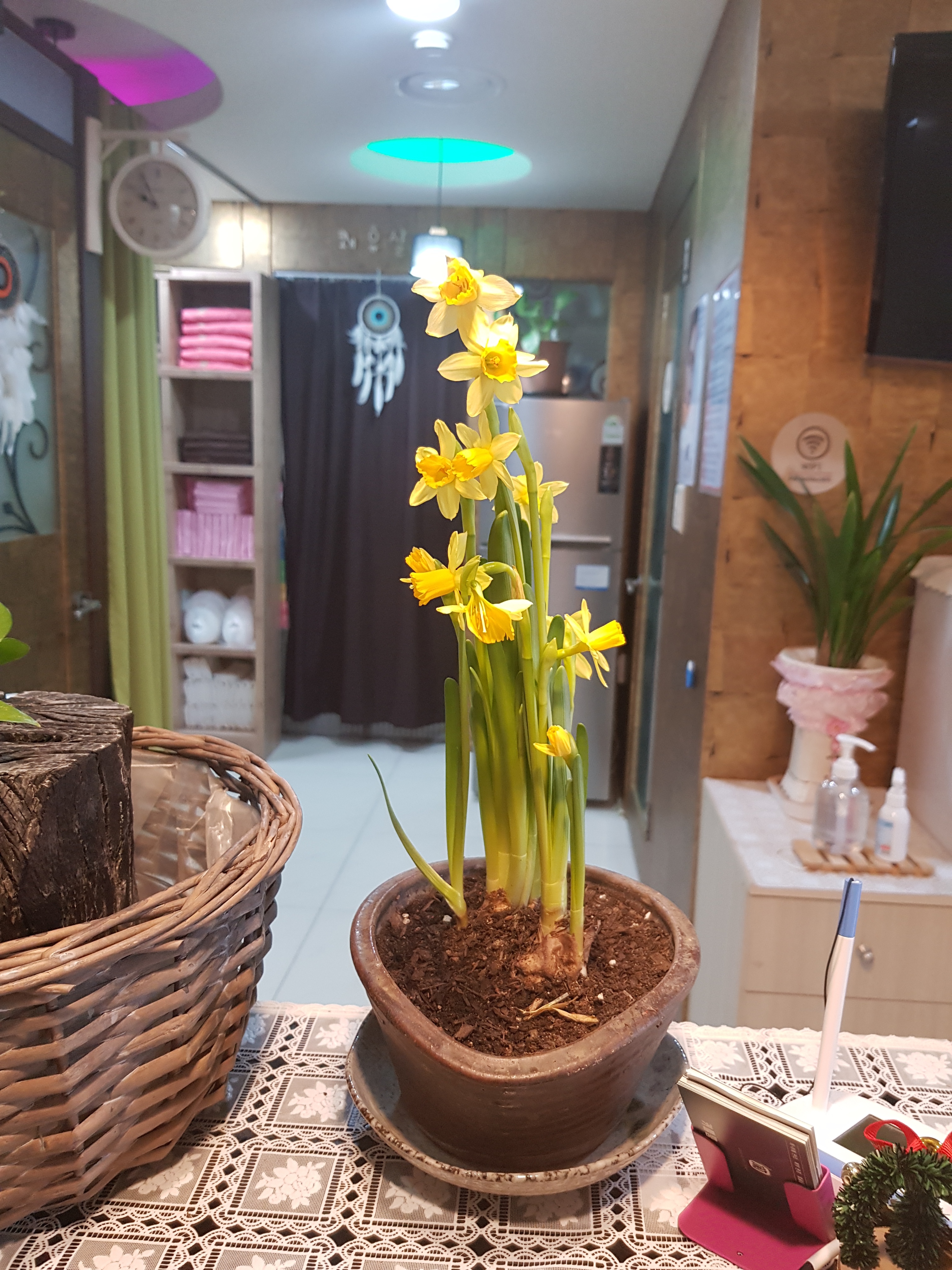 란쾌유테라피