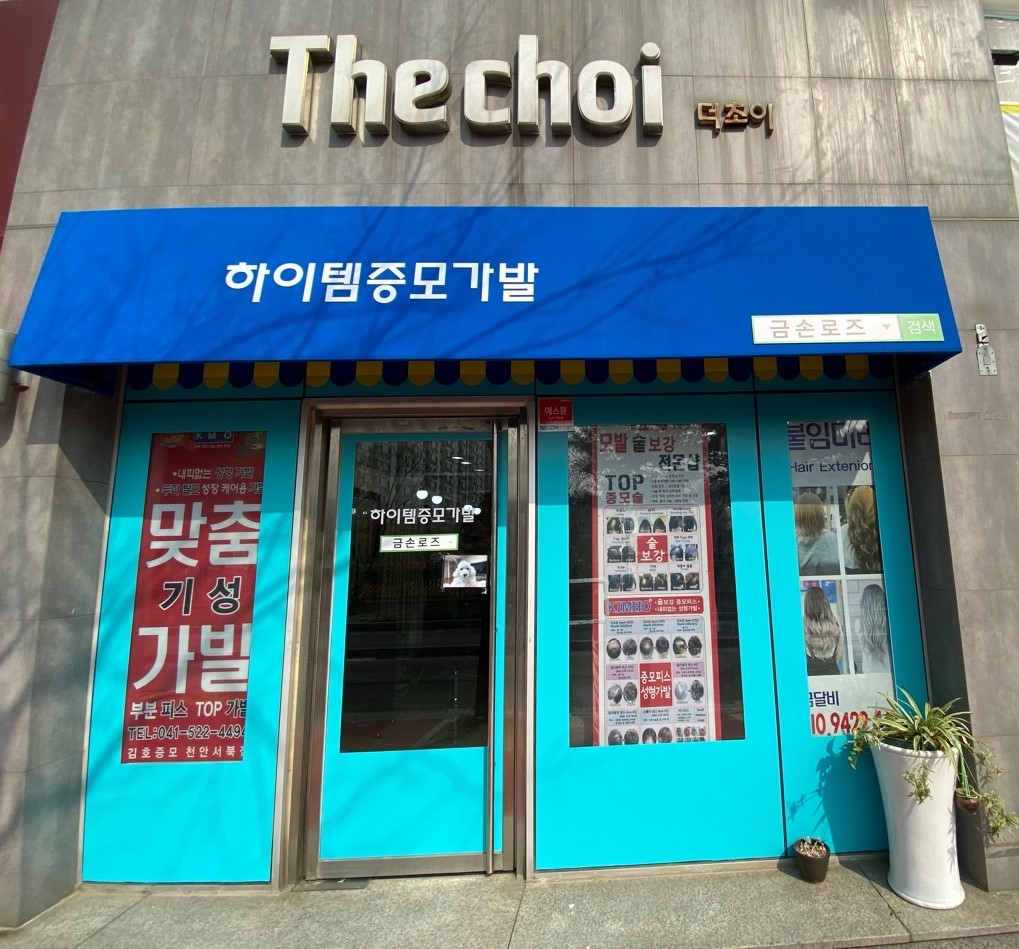 하이템증모가발