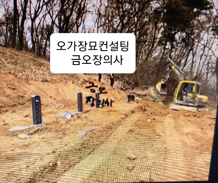 금오장의사