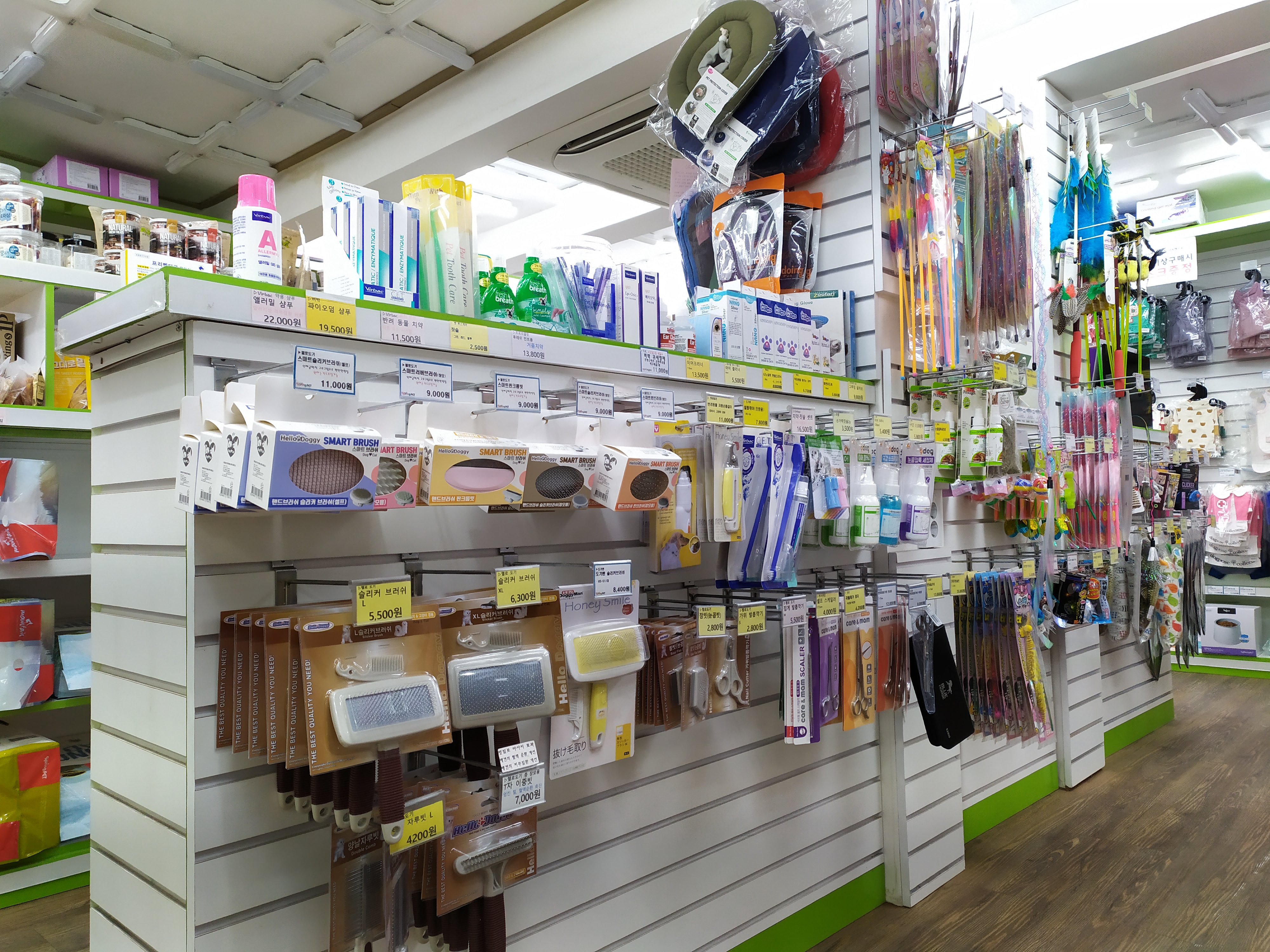 스프링펫 서대문점 대표 이미지