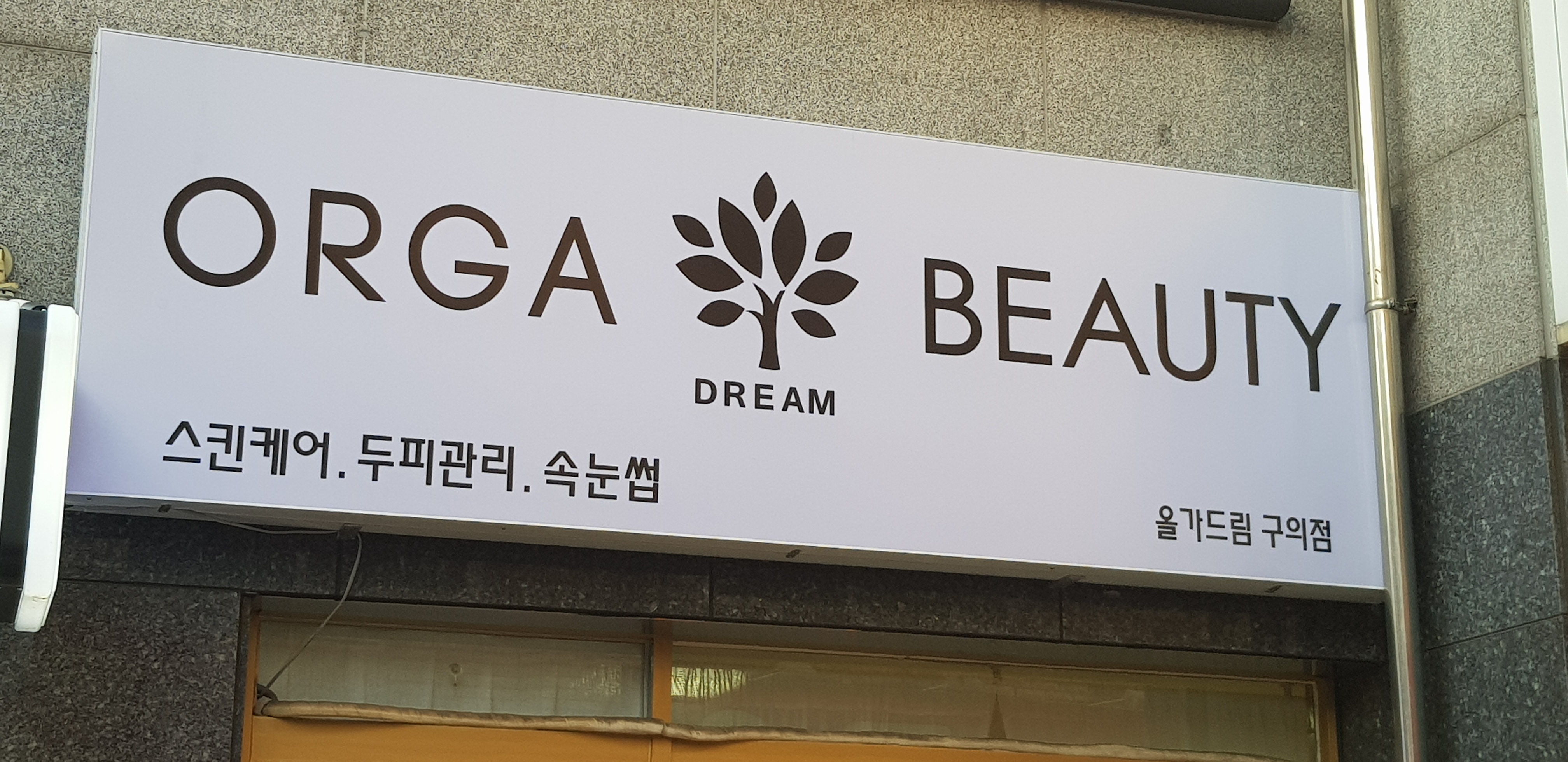 드림뷰티