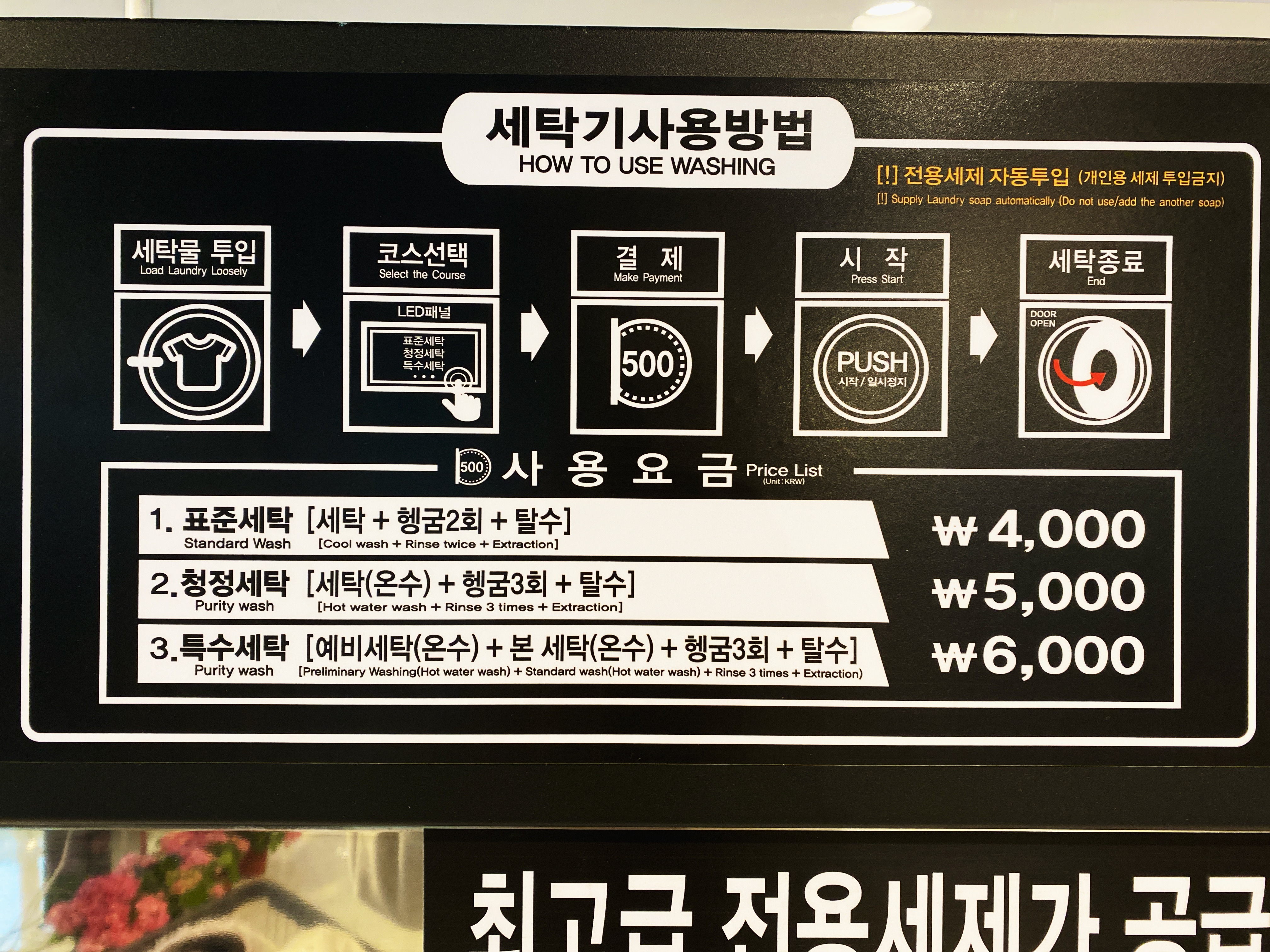 에코워시24 & 아이스크림 할인