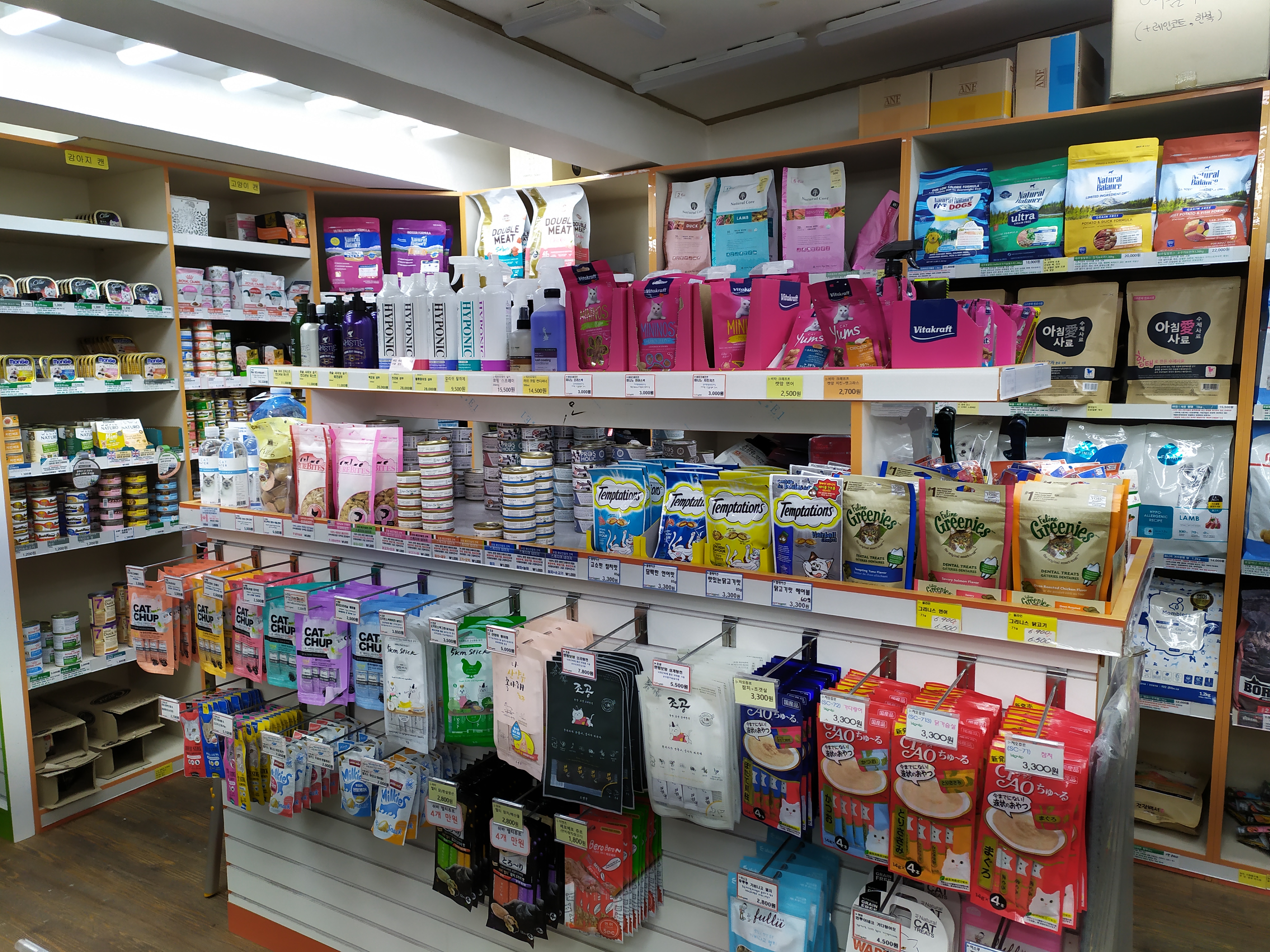 스프링펫 서대문점 대표 이미지