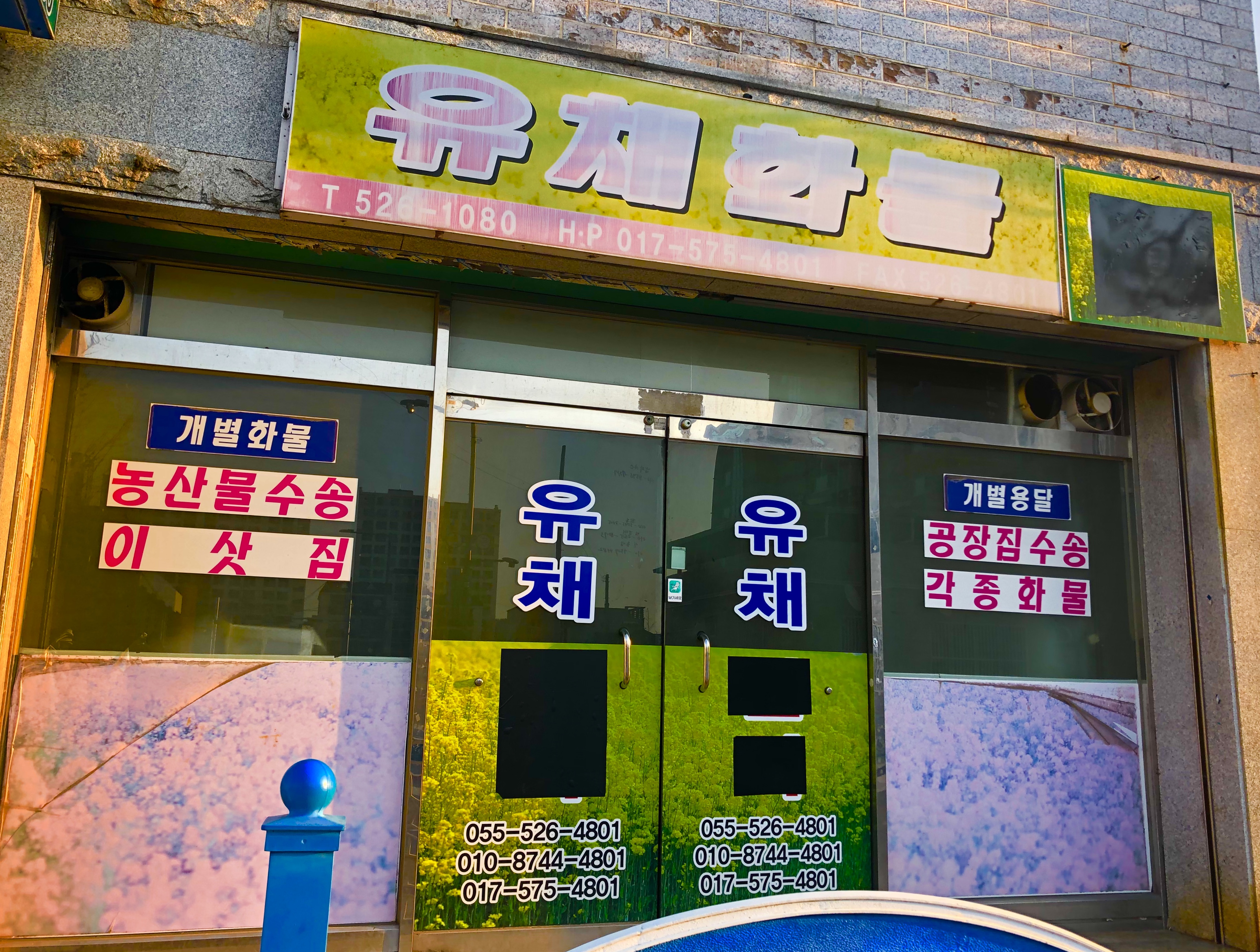 유채화물