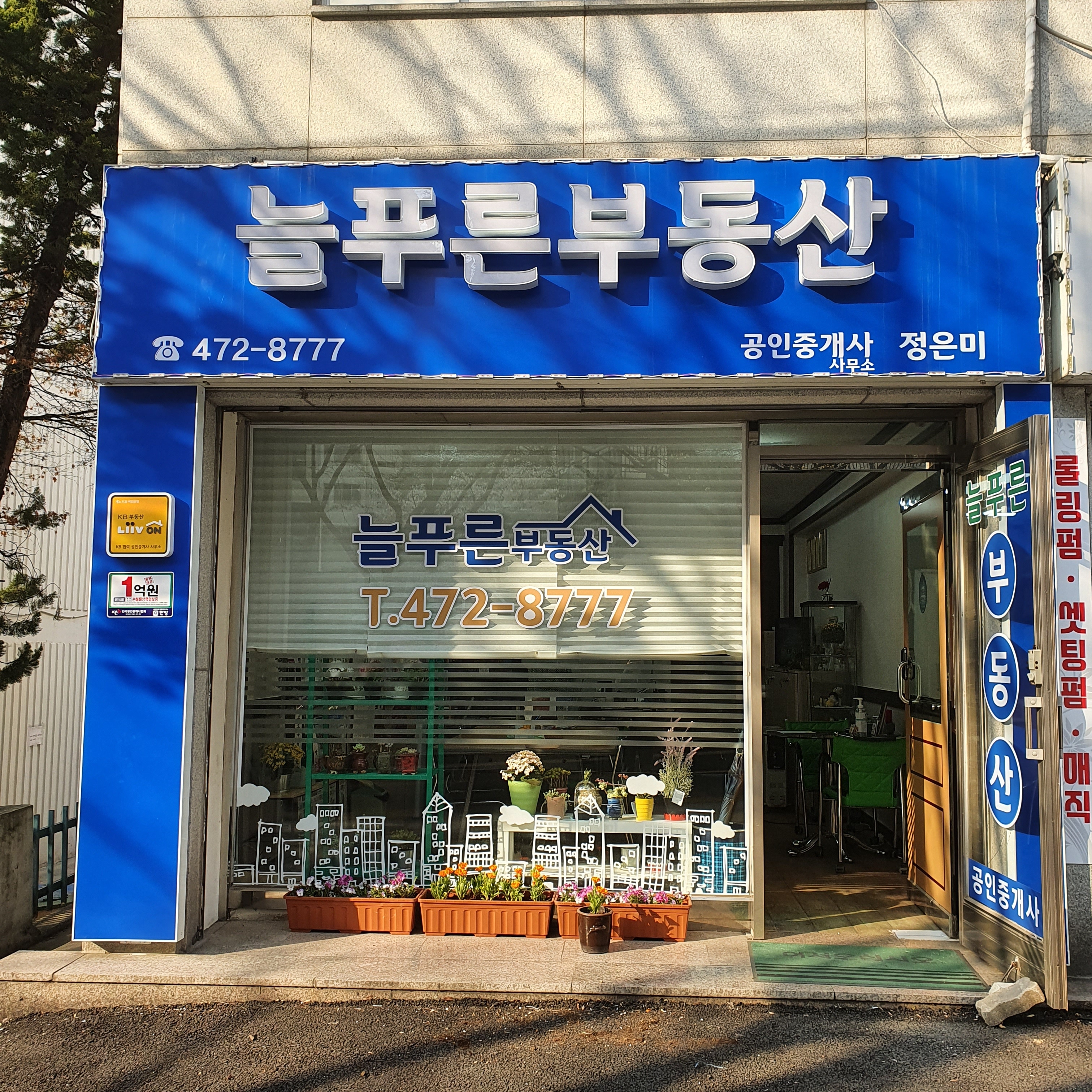 늘푸른공인중개사사무소