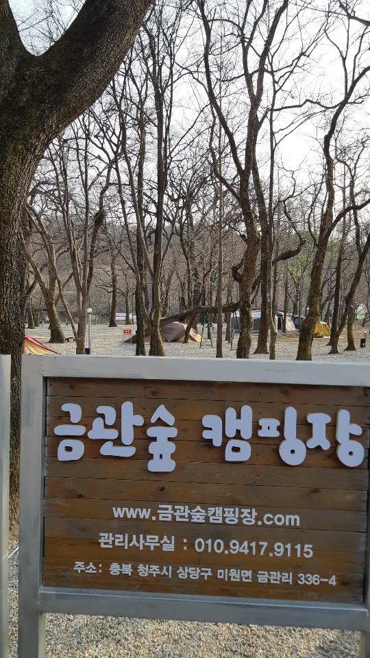 금관숲캠핑장