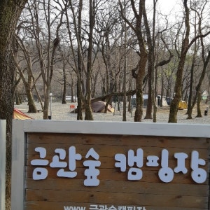 금관숲캠핑장