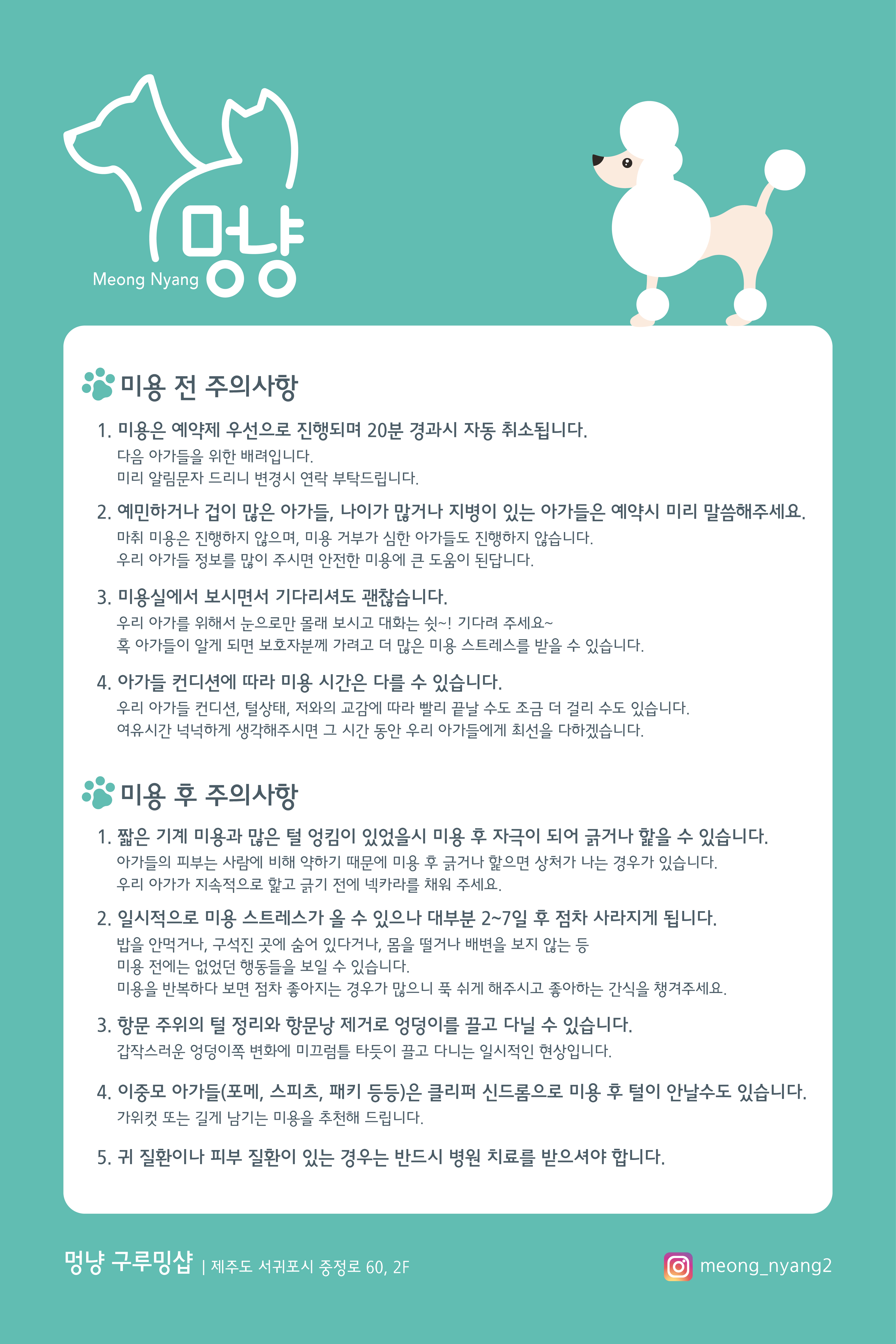 멍냥애견미용 대표 이미지