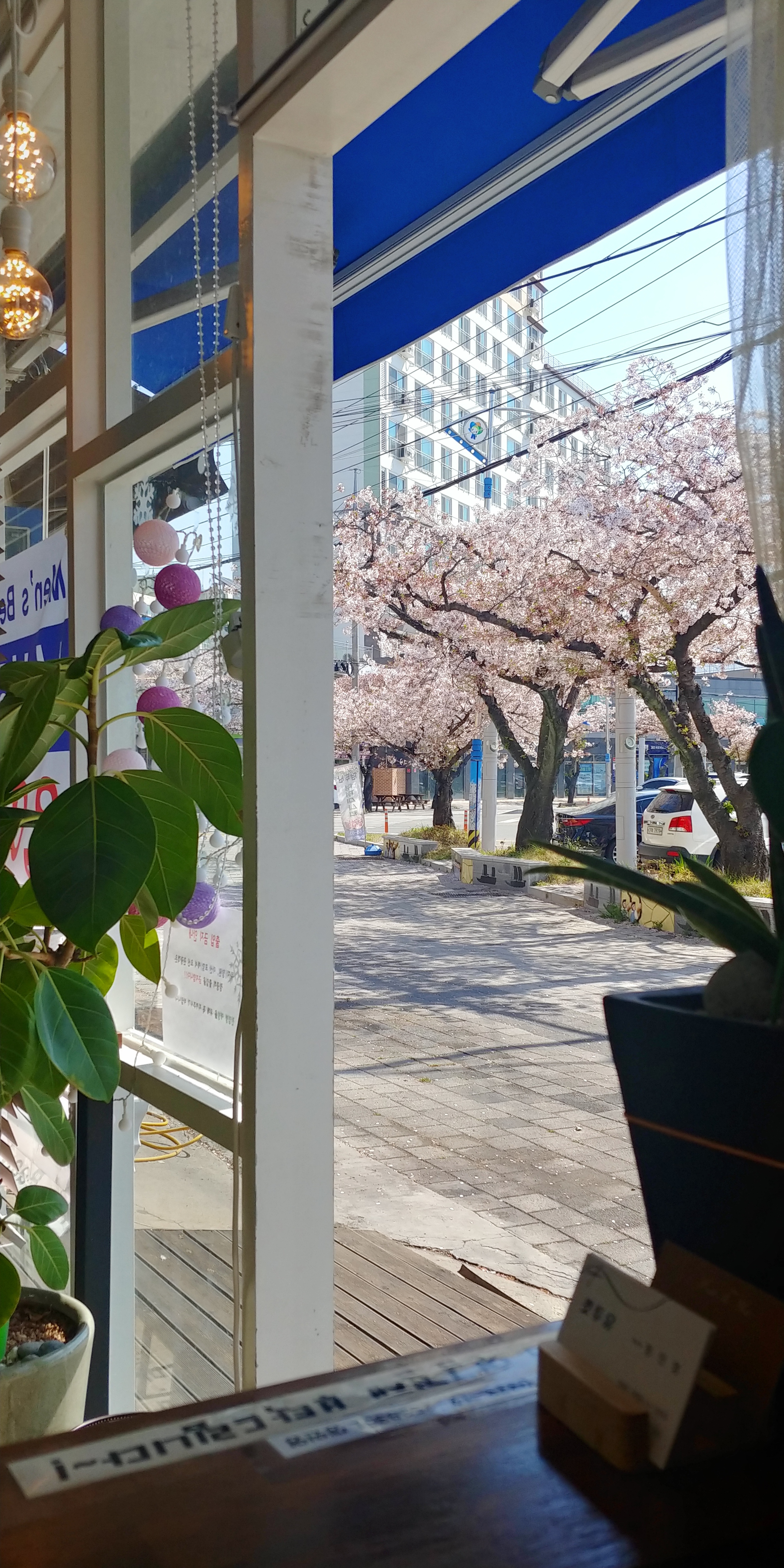 컷투유