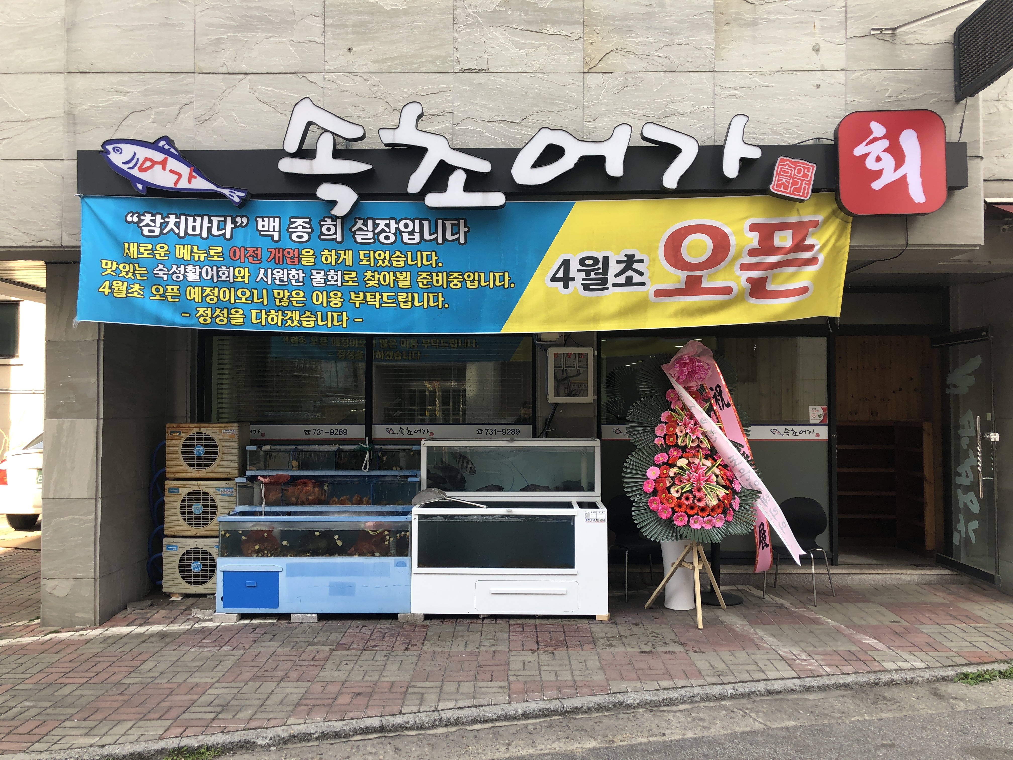 속초회어가