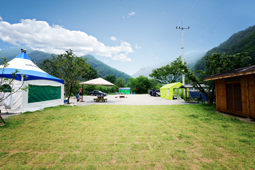 아일랜드코쿤