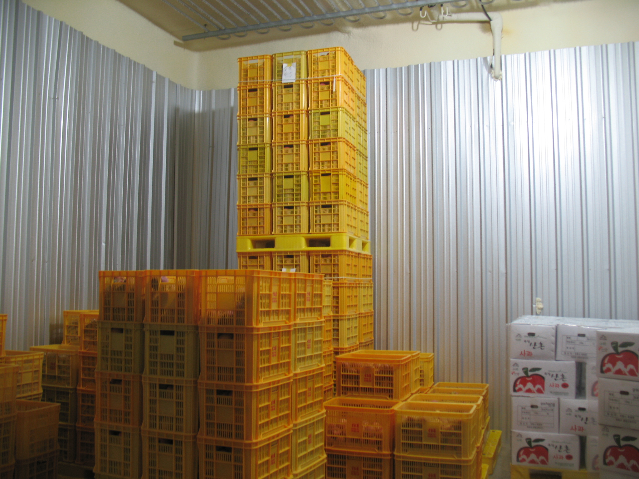 IPM감홍원 대표 이미지