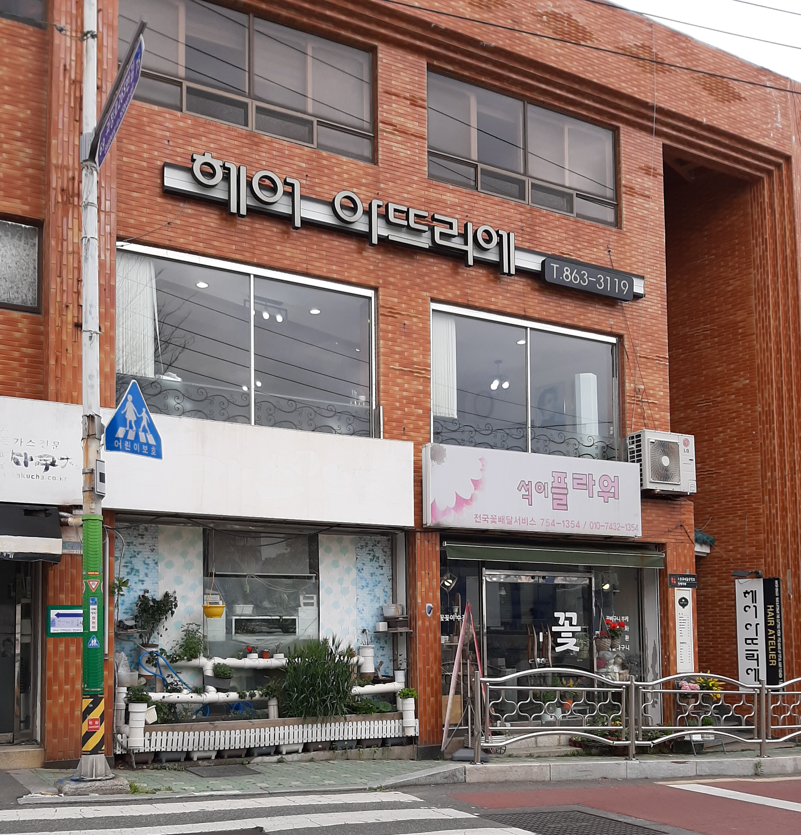 채이네플라워
