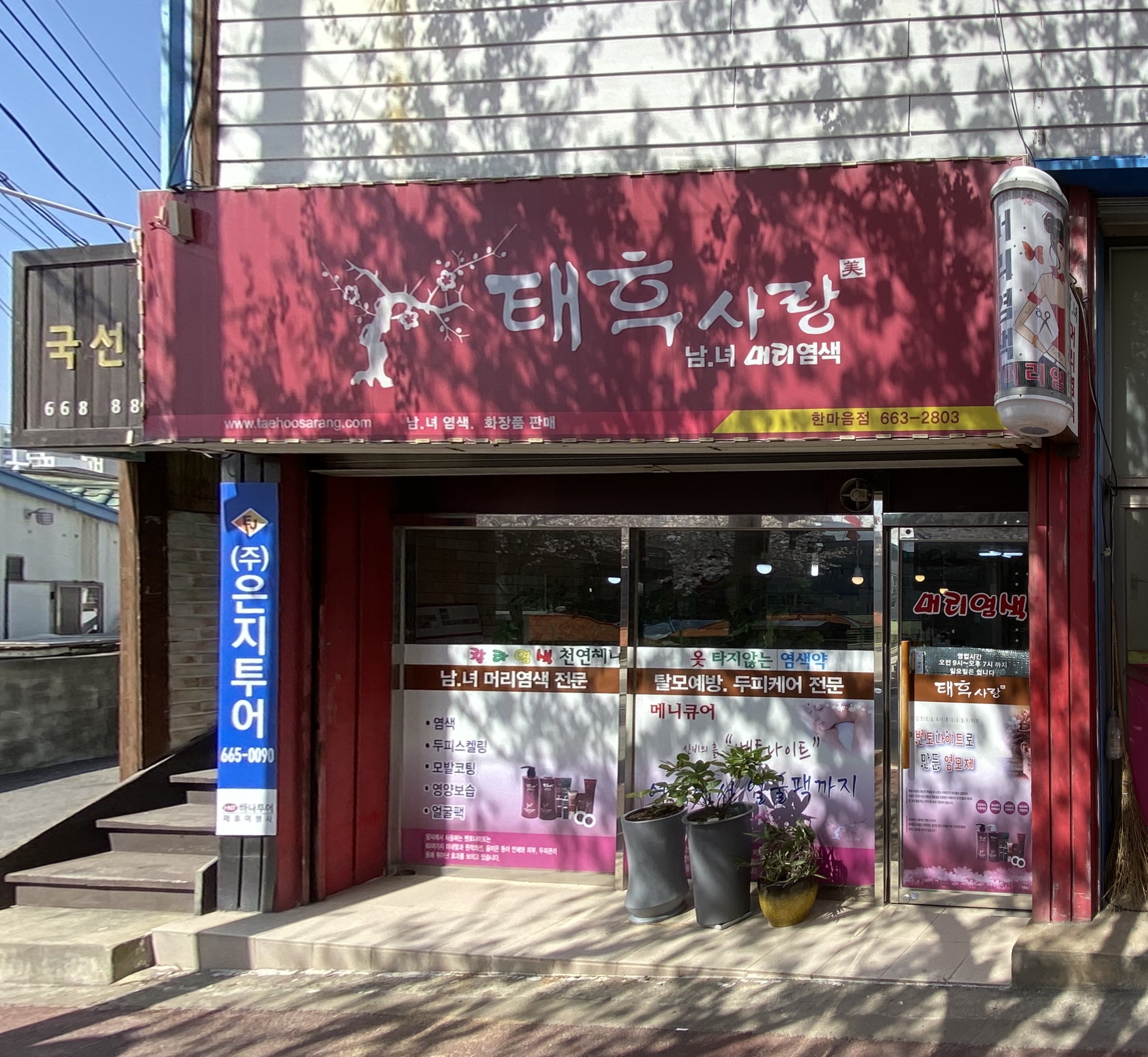태후사랑