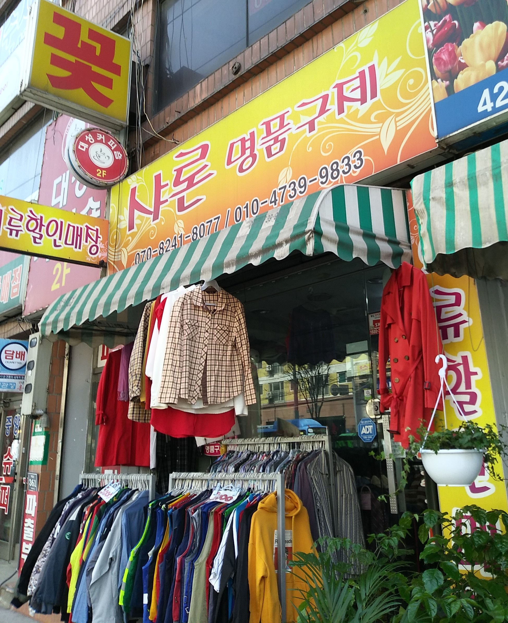 샤론명품구제