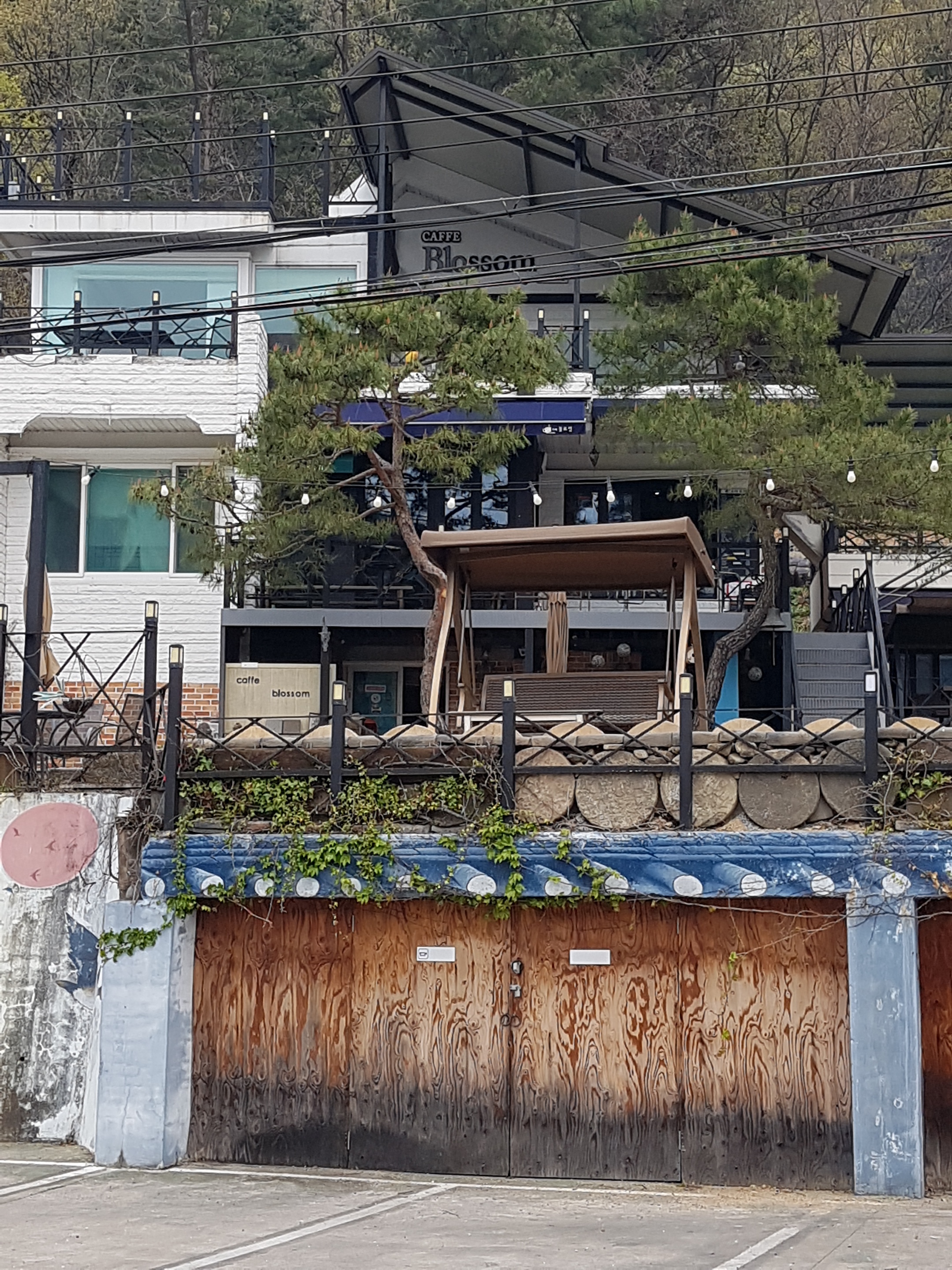 카페블로썸 3