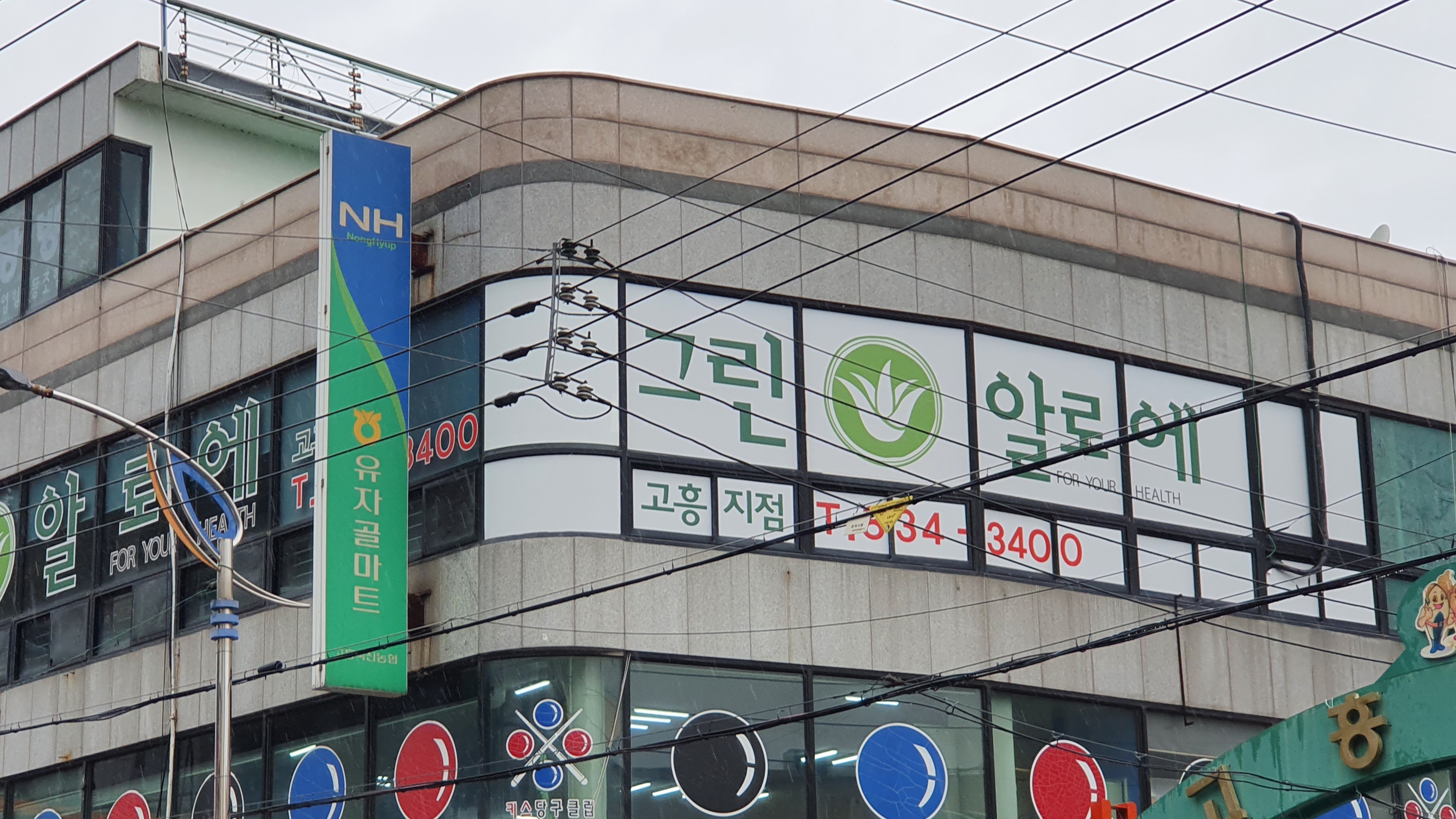 그린알로에고흥지점
