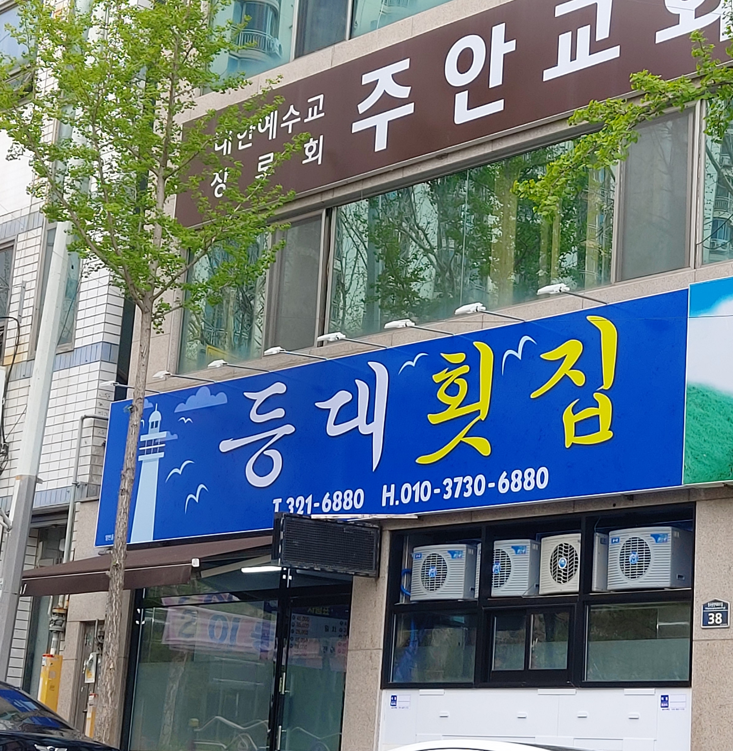 등대회집 3