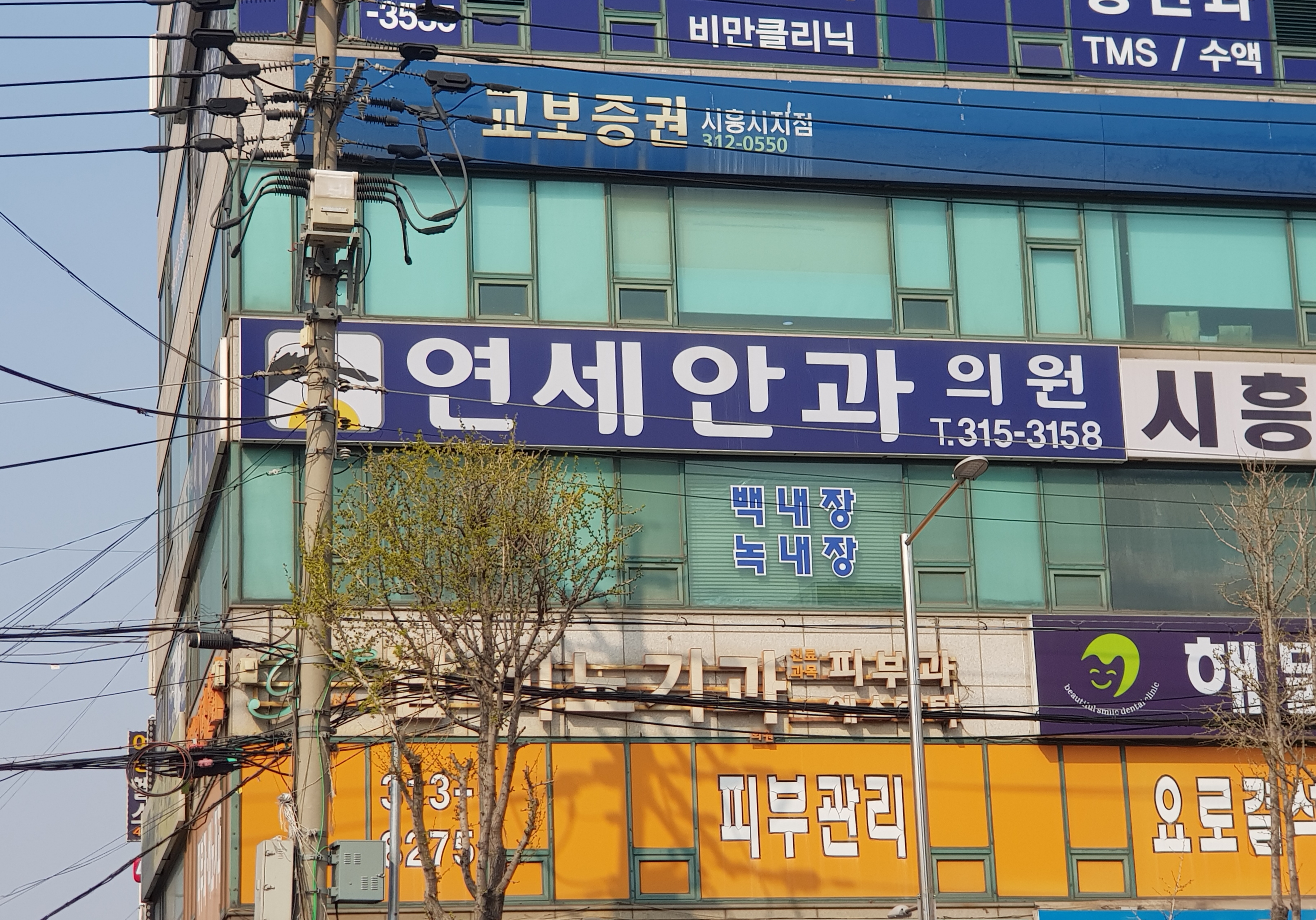 연세안과의원 대표 이미지