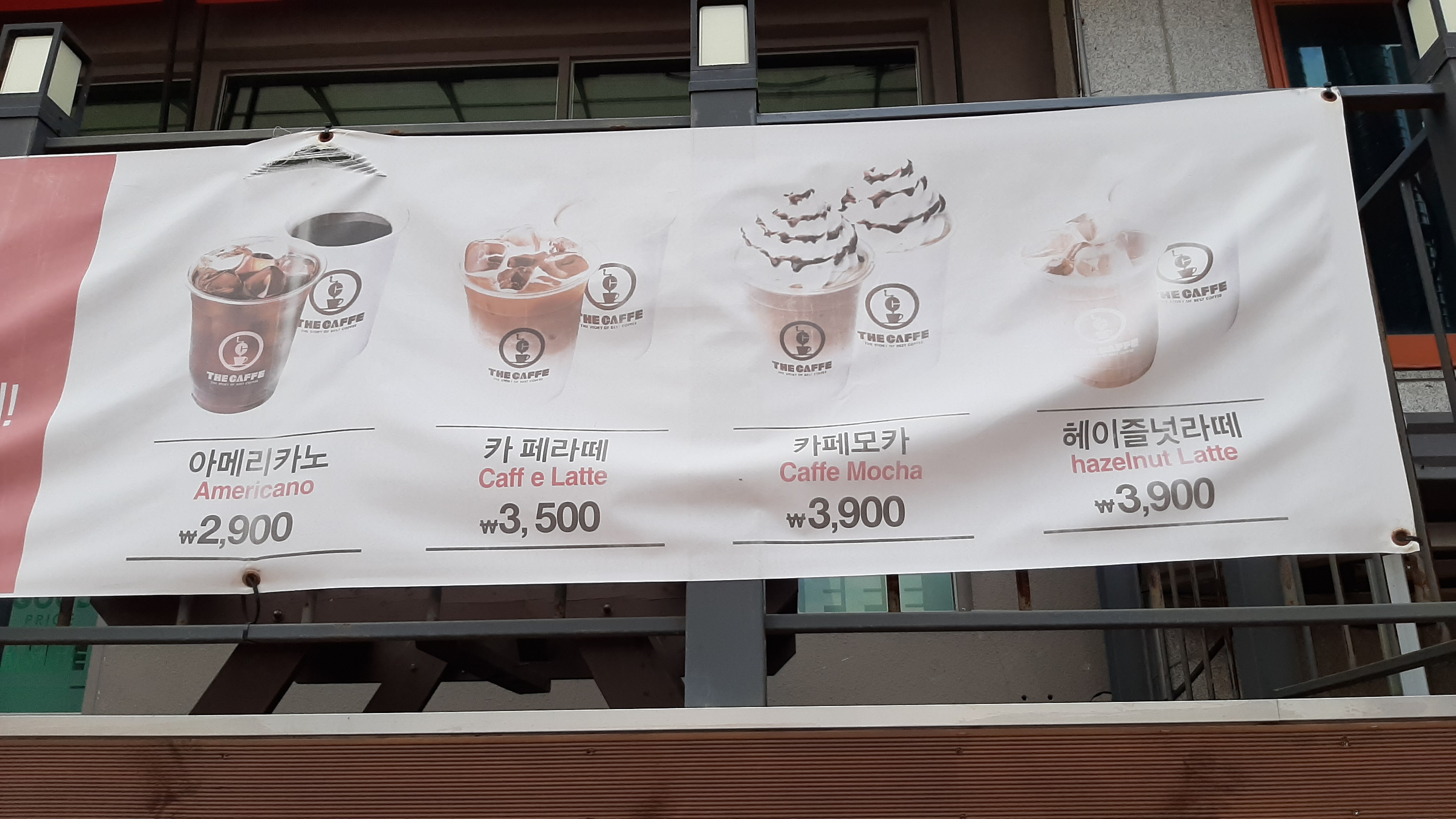 더카페 영월고씨동굴점 강원 애견맛집