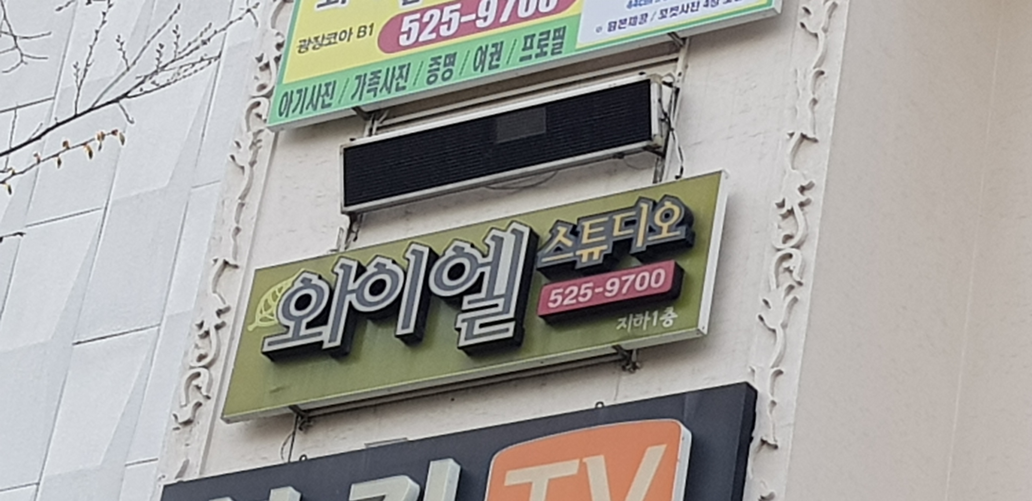와이엘스튜디오