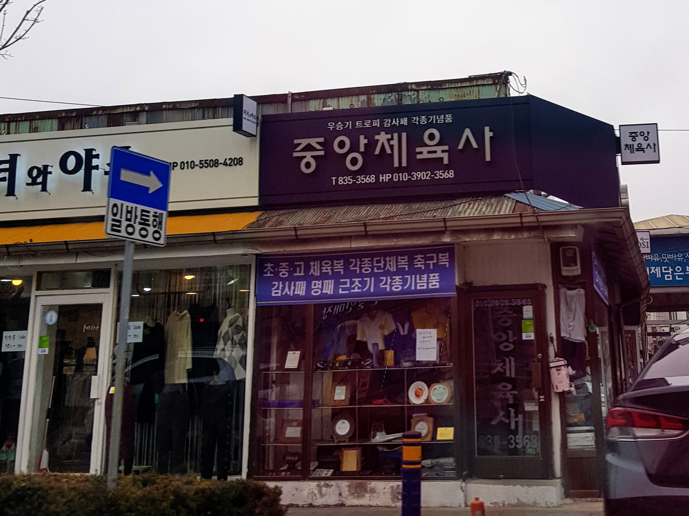 중앙체육사