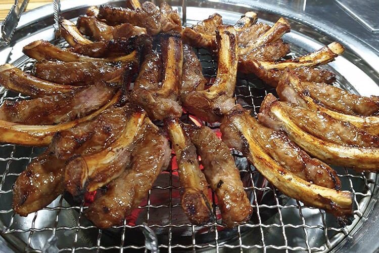 원시조쪽갈비