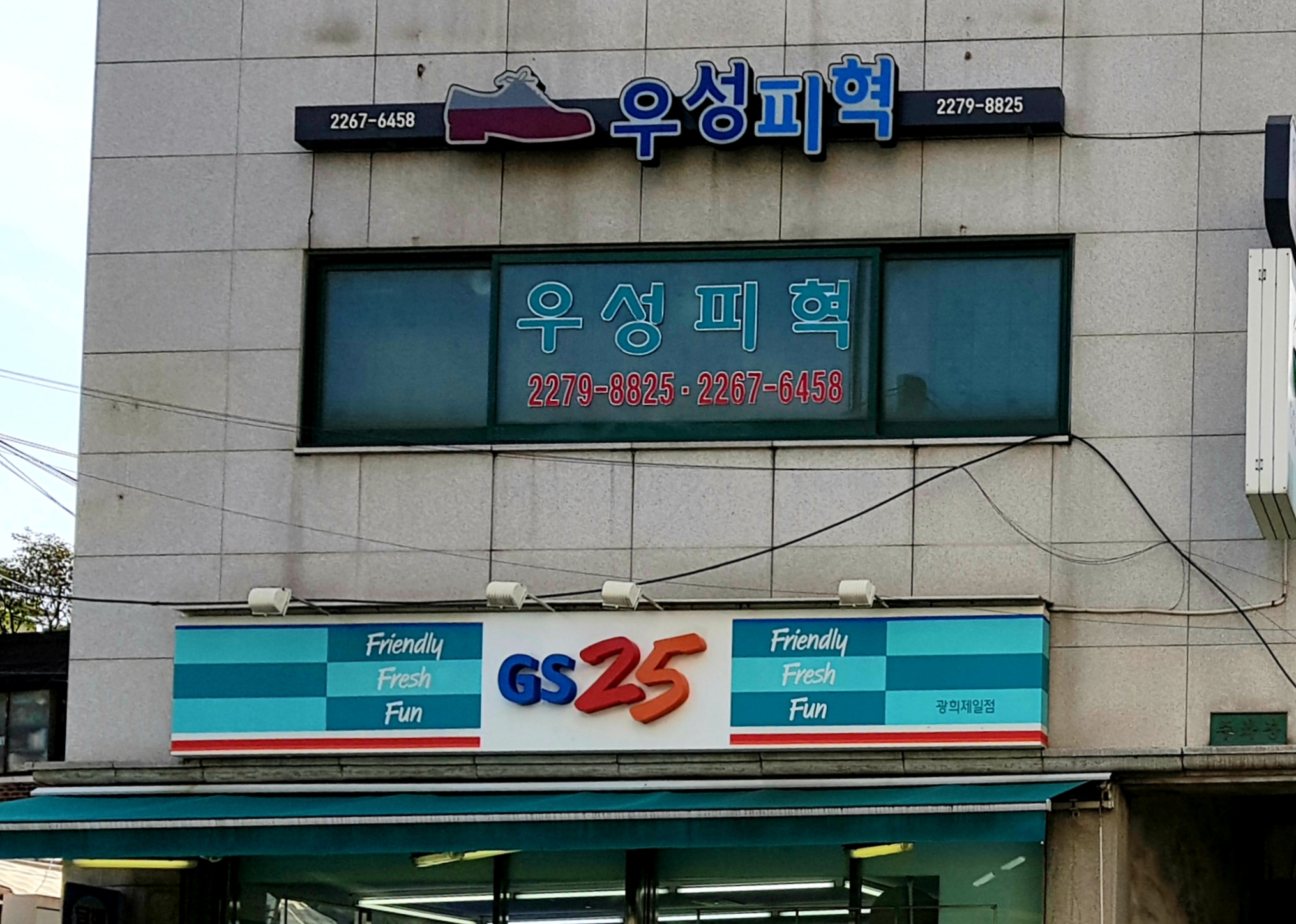 우성피혁