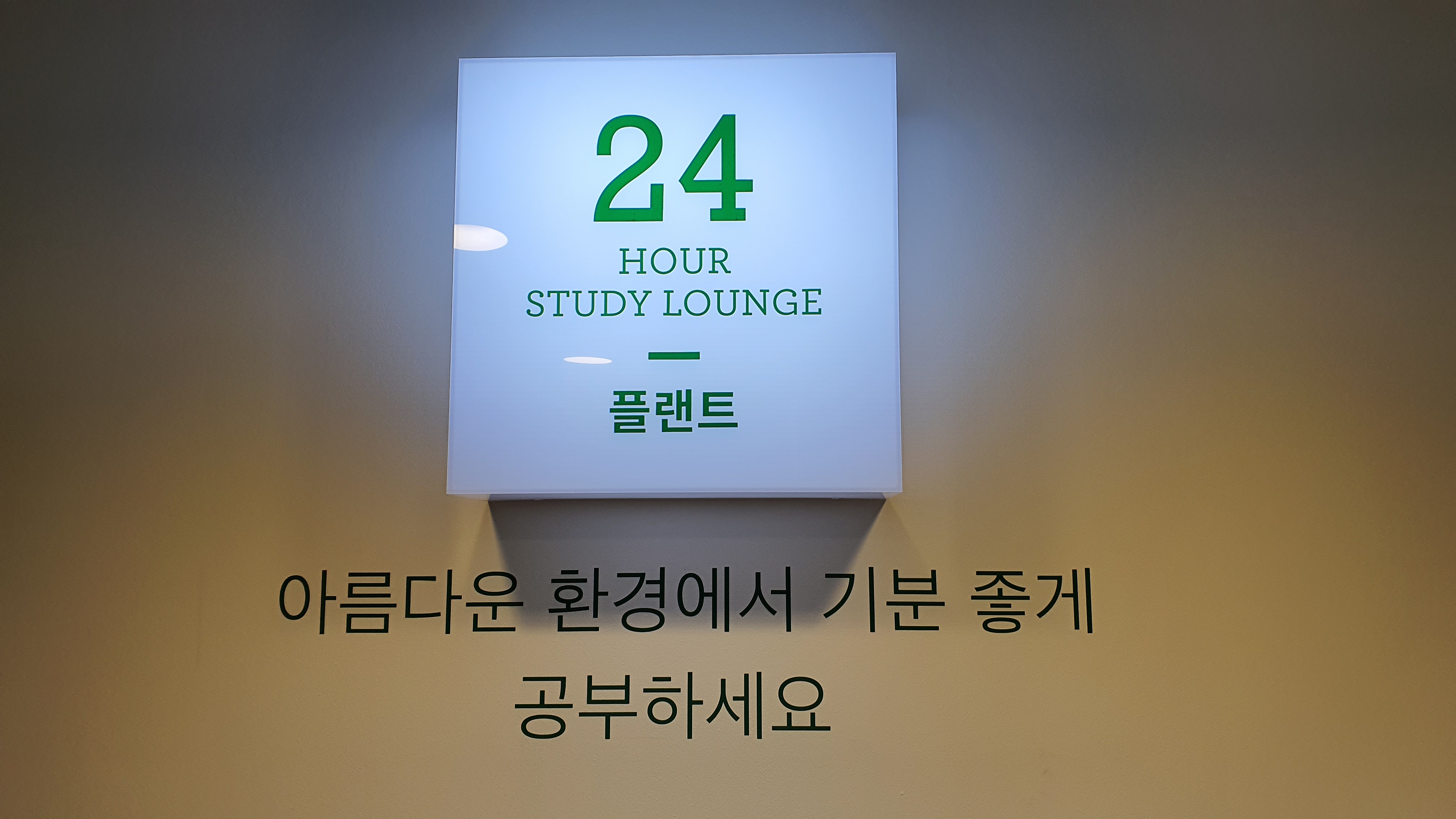 업체사진
