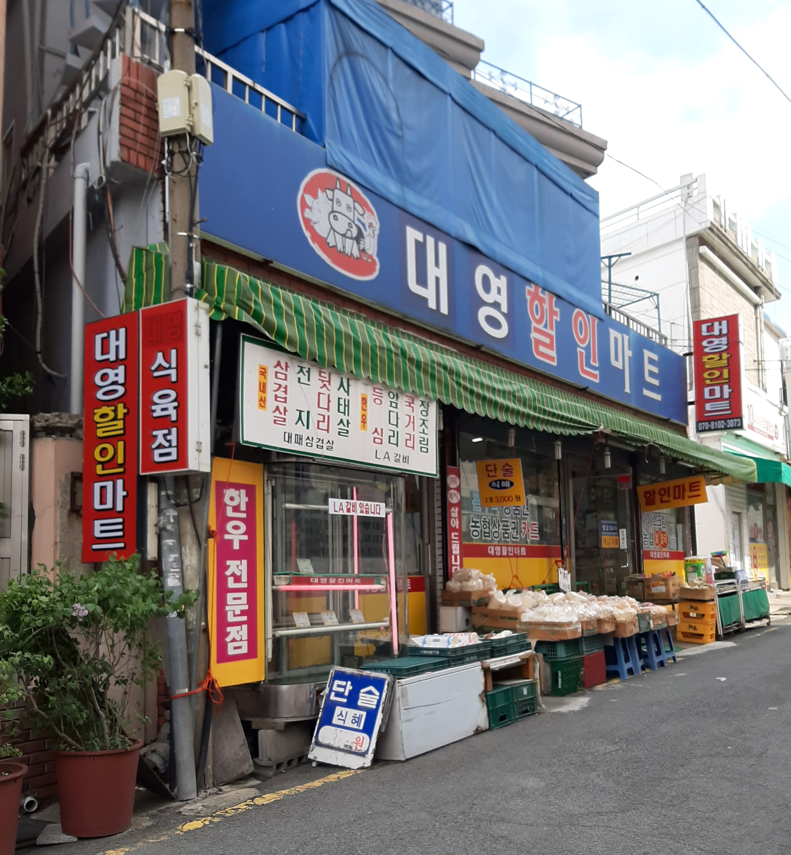 대영할인마트