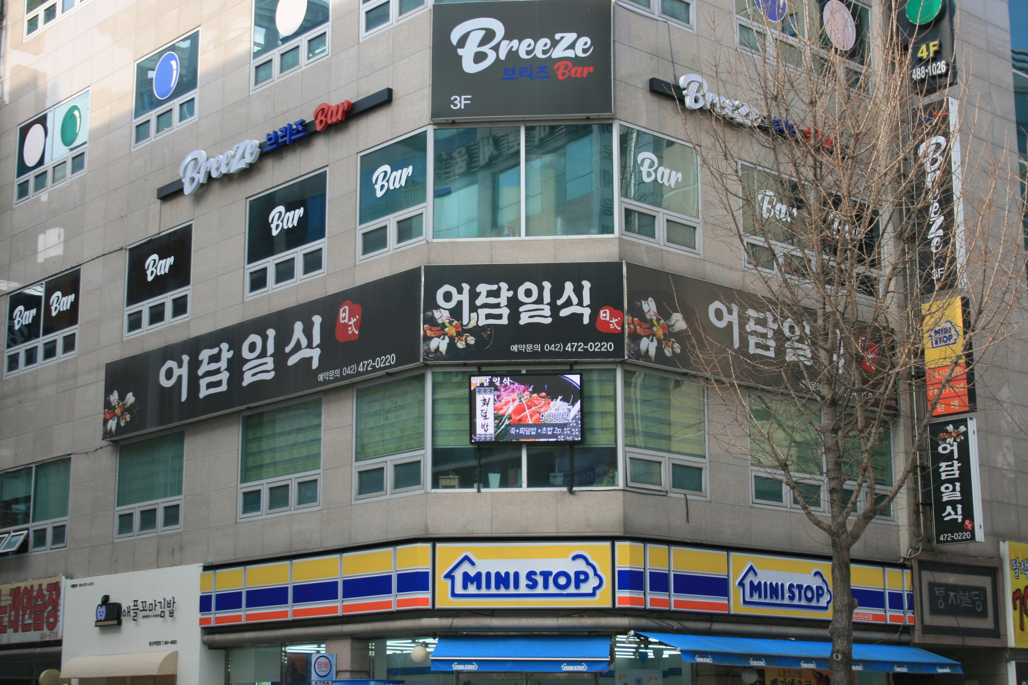 어담일식
