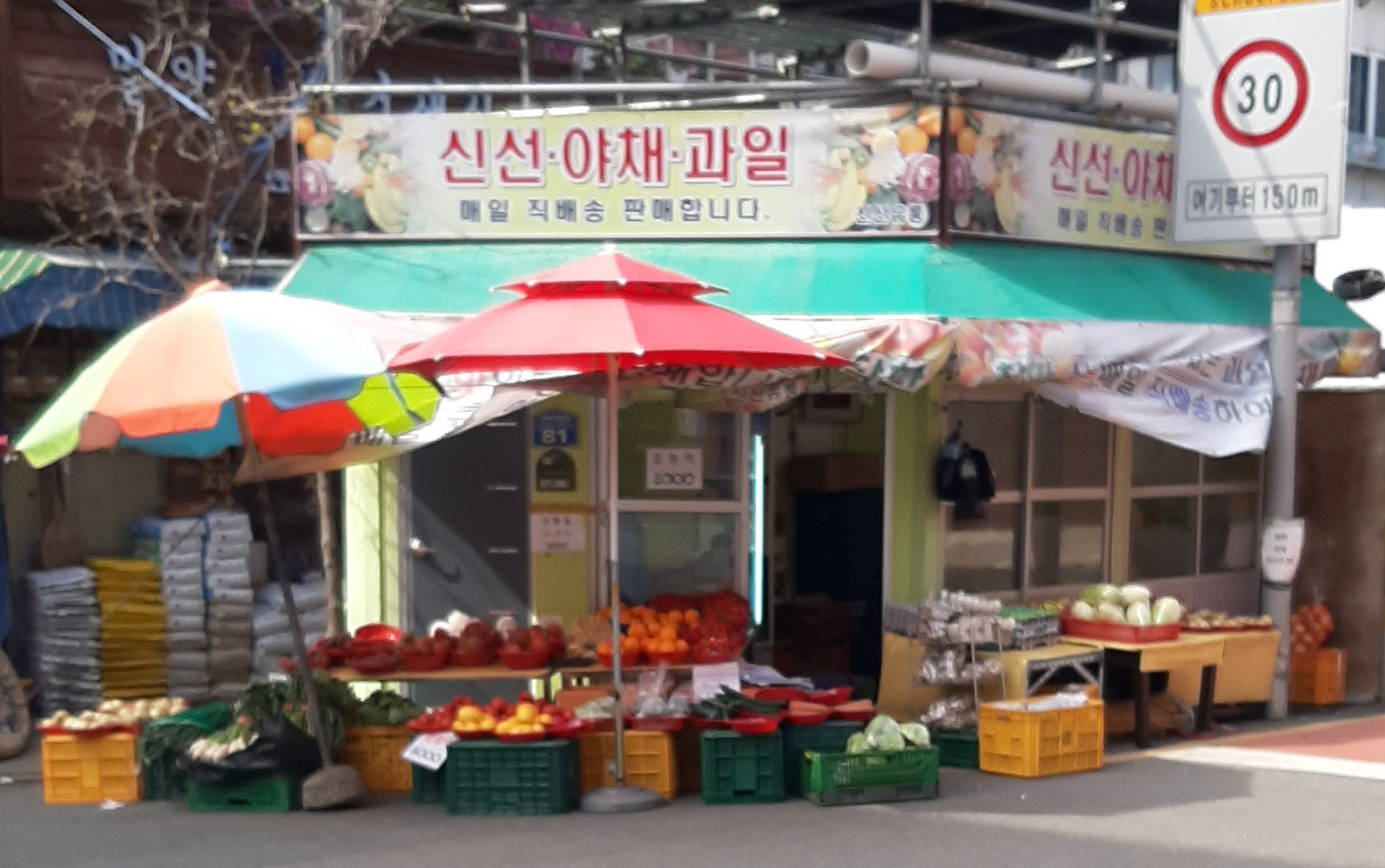 신선야채과일